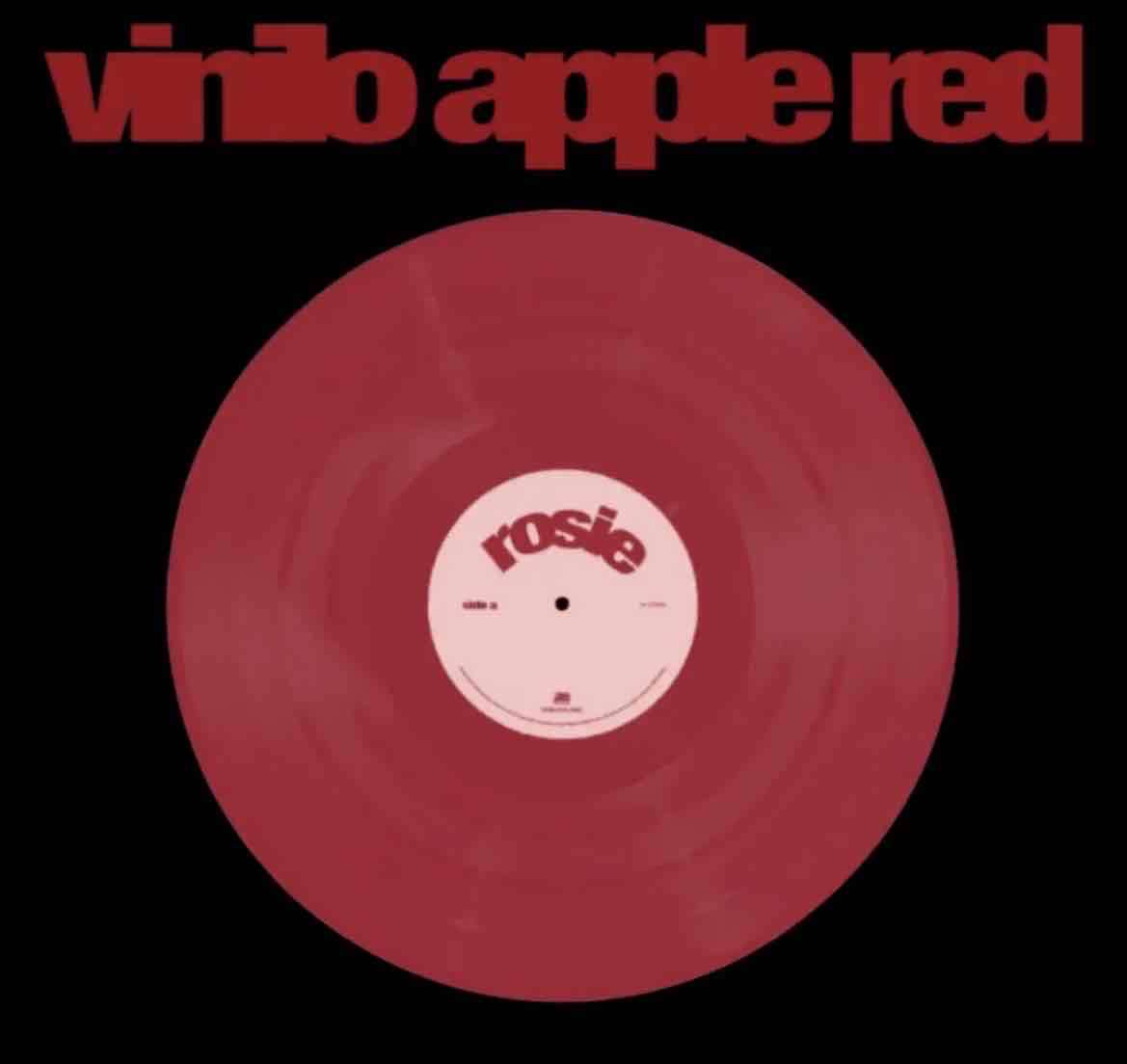 Vinilo Rosie de colección Rosé Blackpink Kpop - miniatura 5