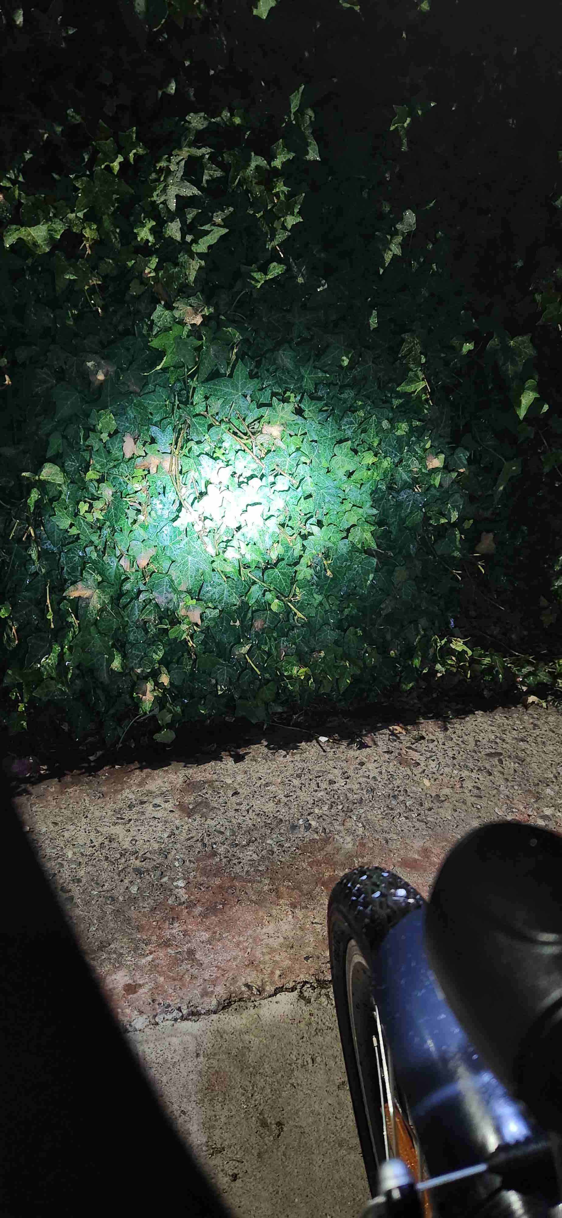 Bicicleta eléctrica plegable negra - miniatura 4