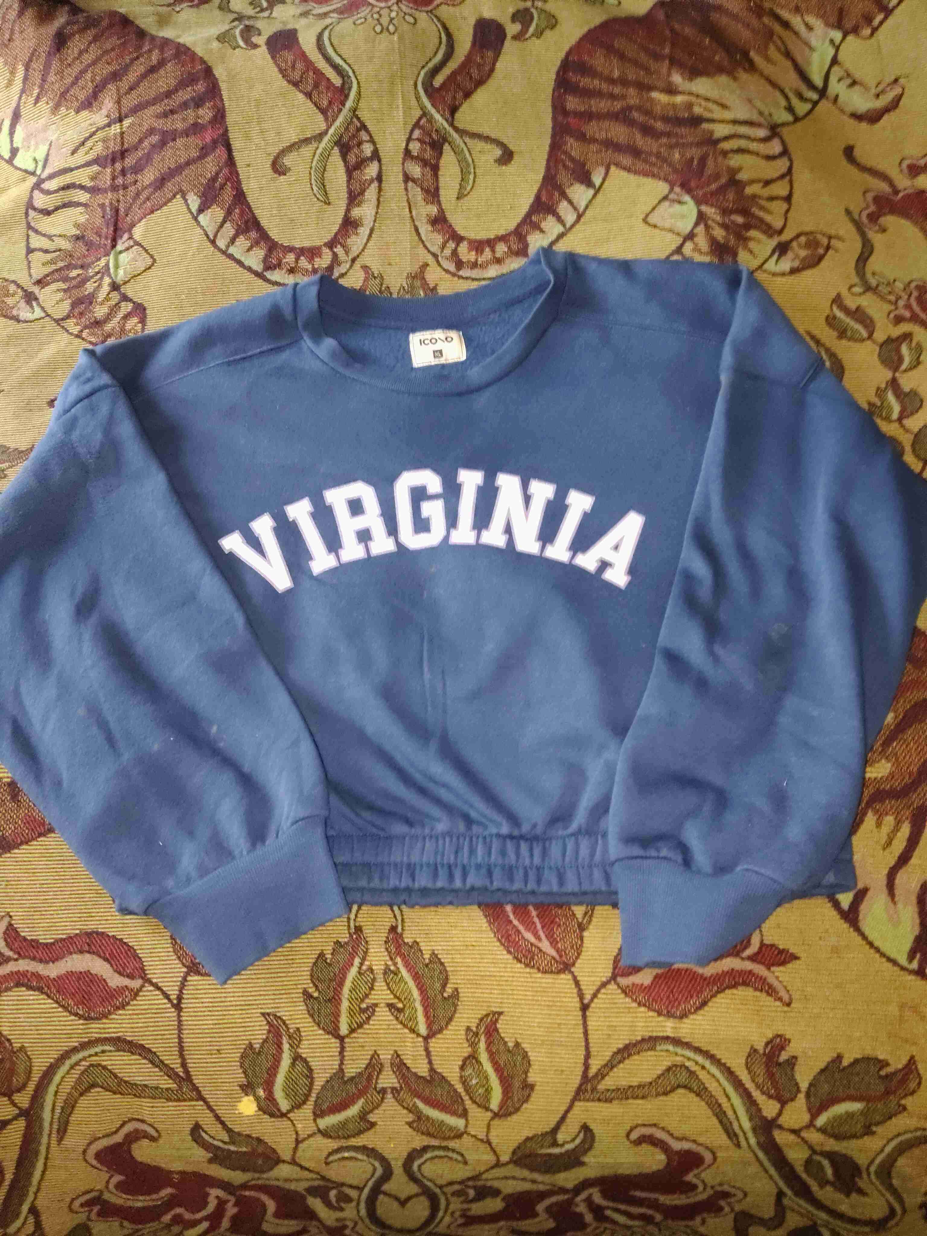 Polerón azul Virginia - miniatura 1