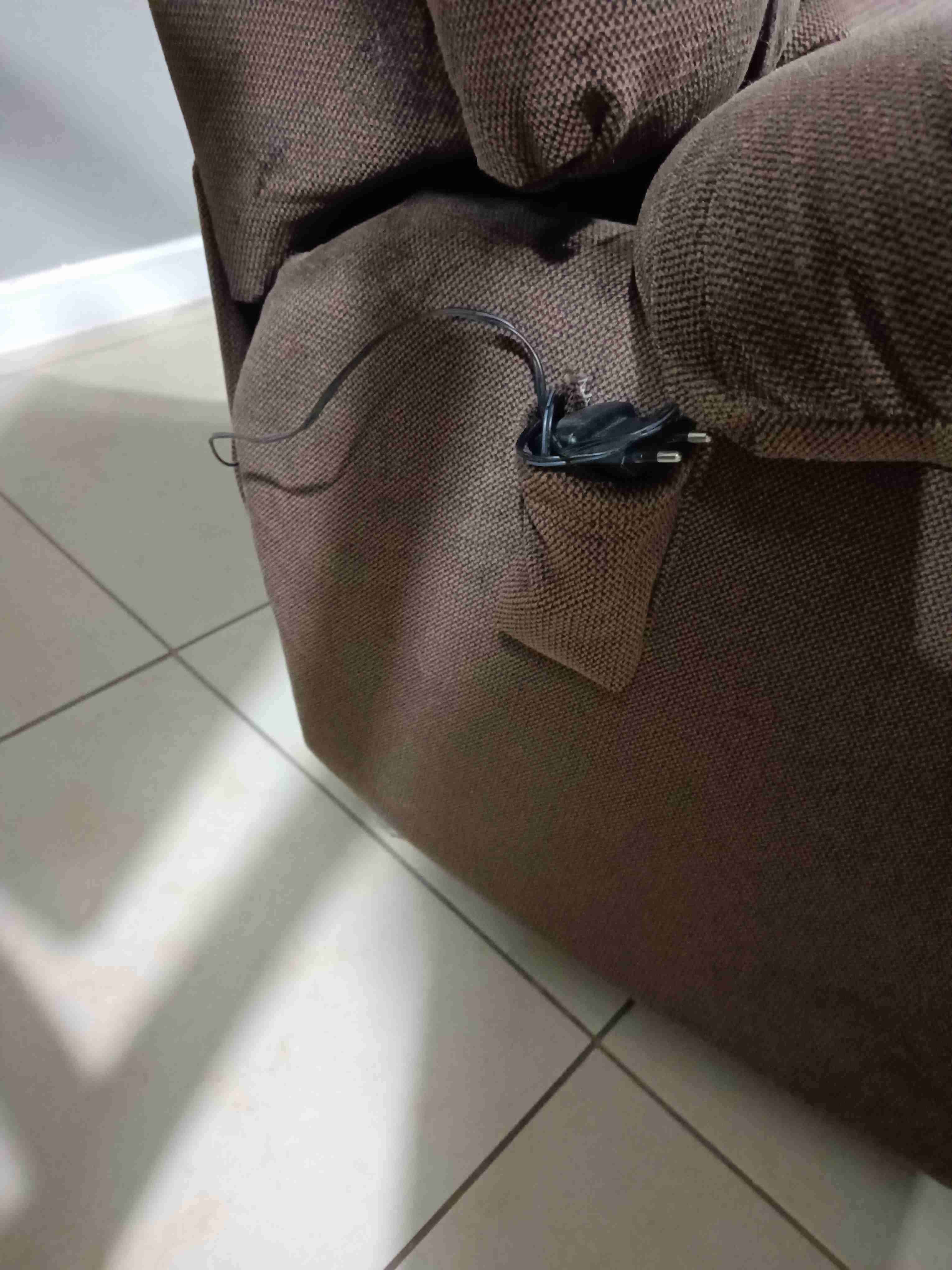 Bergere Rosen - miniatura 2