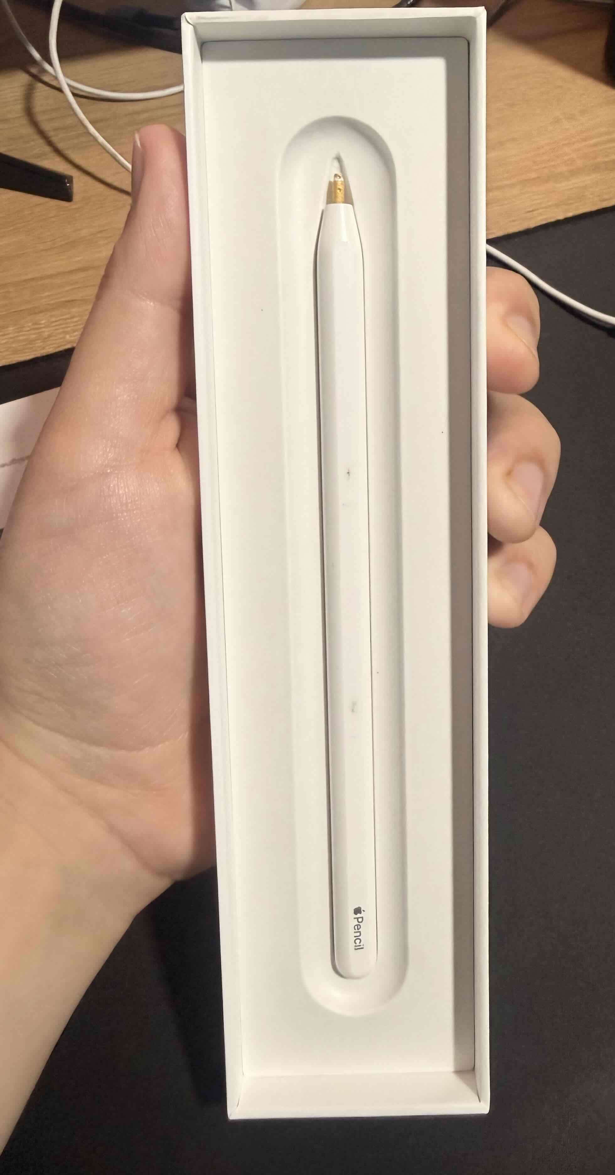 Apple Pencil 2da Generación - miniatura 2