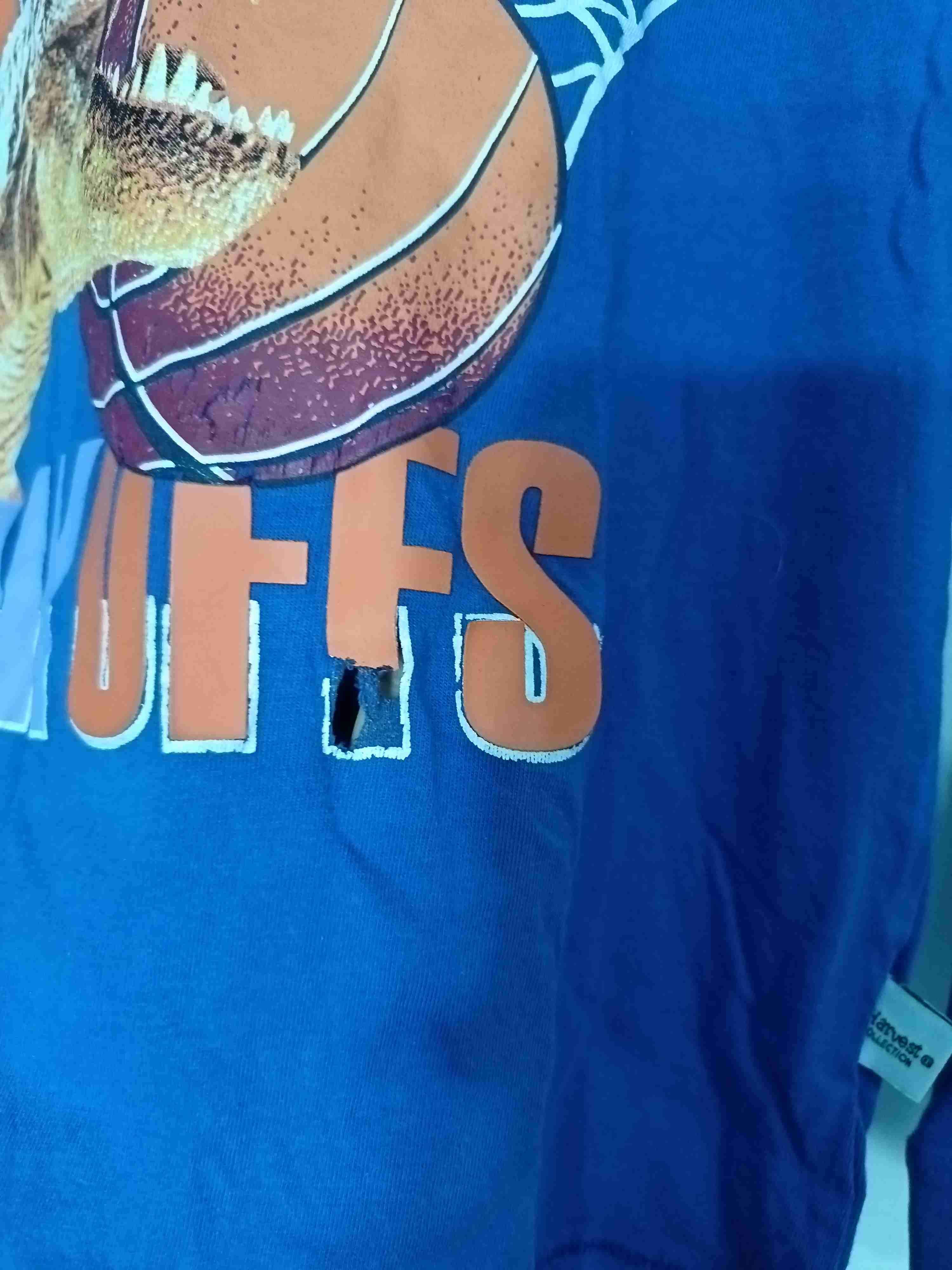 Polera azul con estampado T-Rex - miniatura 2