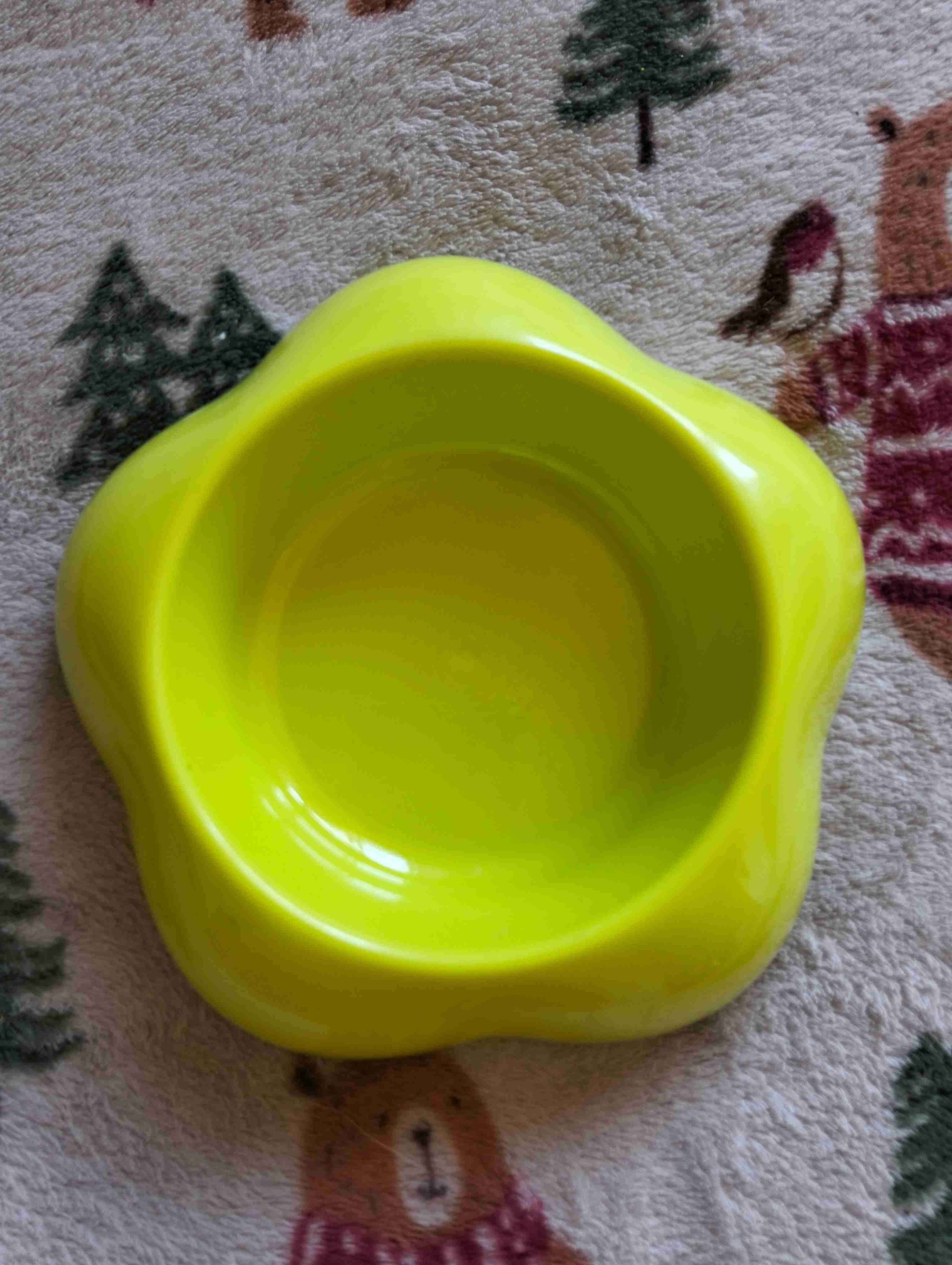 Plato para gato marca Kiboo - miniatura 2