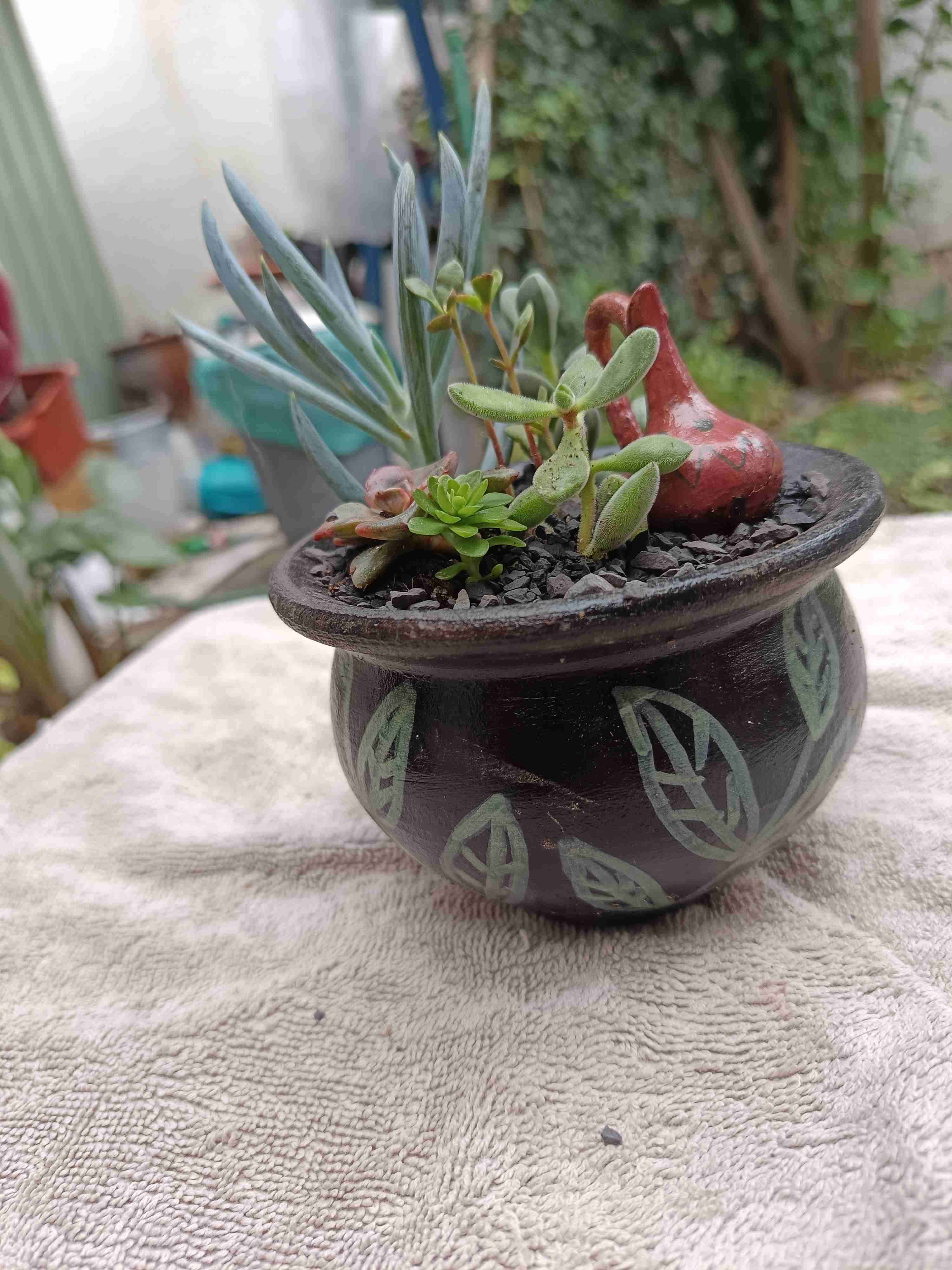 Día de la madre. Mini jardín.Maceta, suculentas - miniatura 2