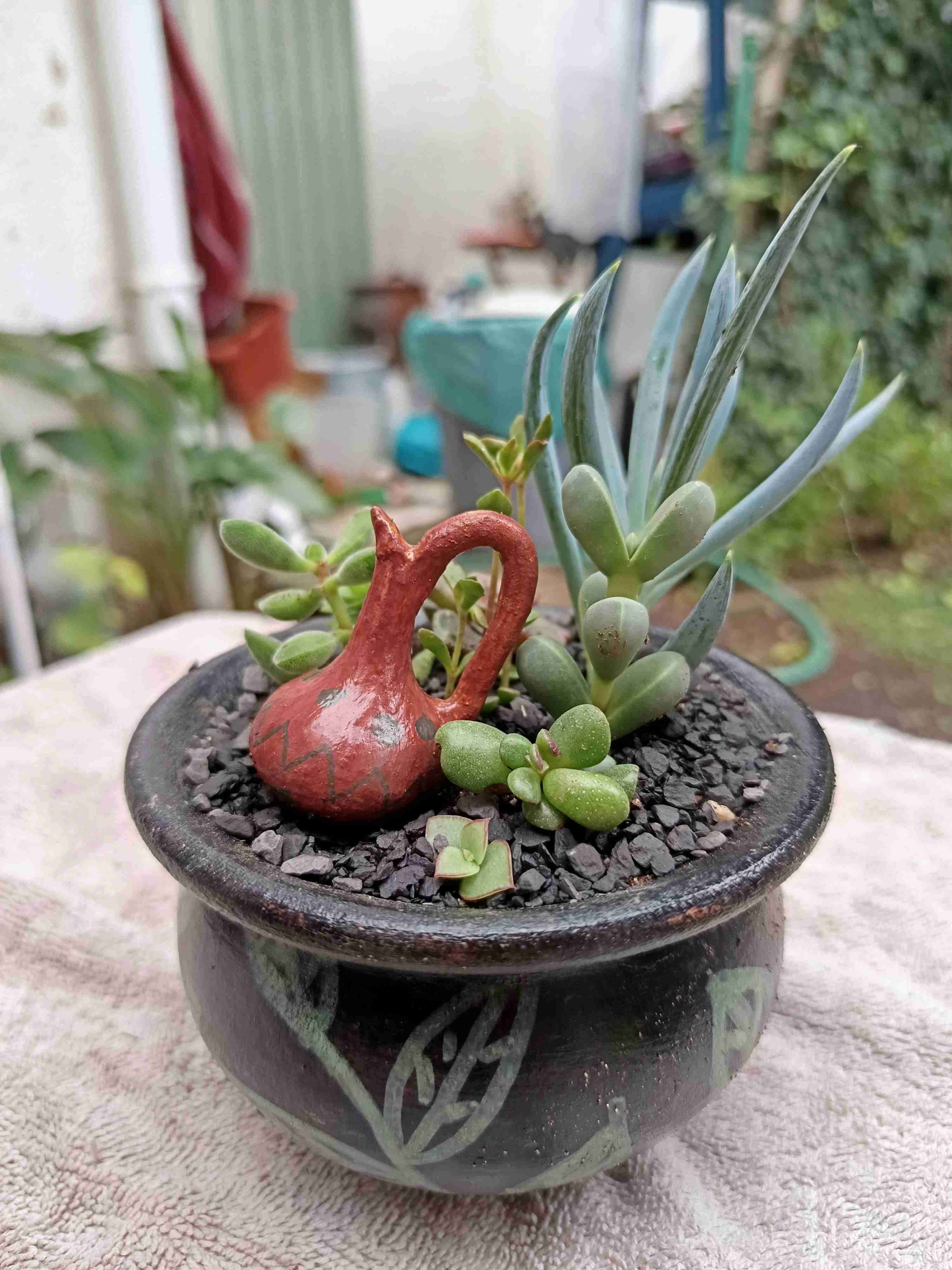 Día de la madre. Mini jardín.Maceta, suculentas - miniatura 6