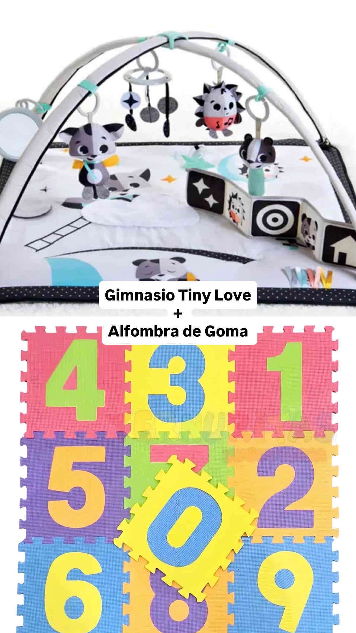 Gimnasio Tiny Love con alfombra