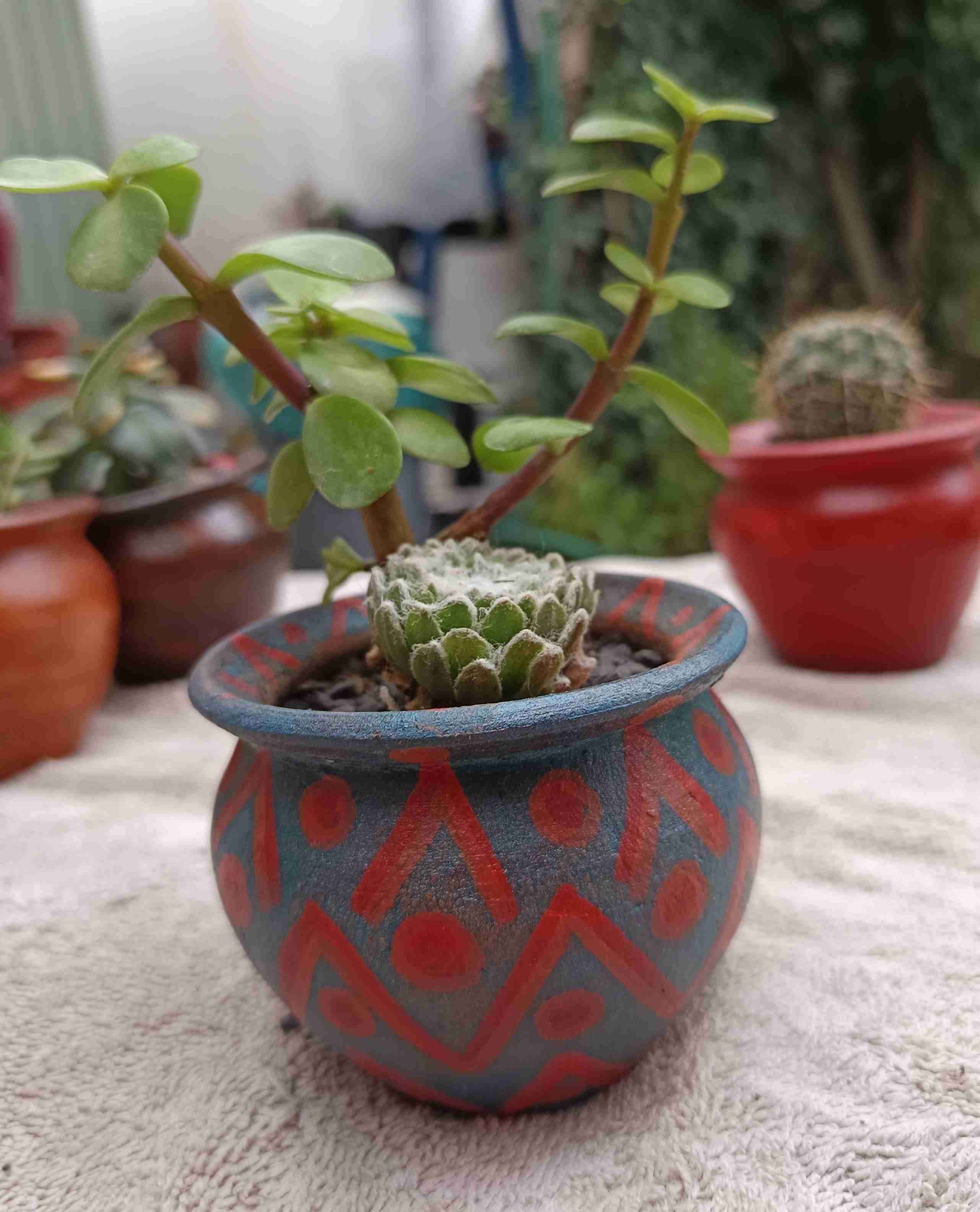 Maceta de barro con planta suculenta. Regalo mamá - miniatura 1