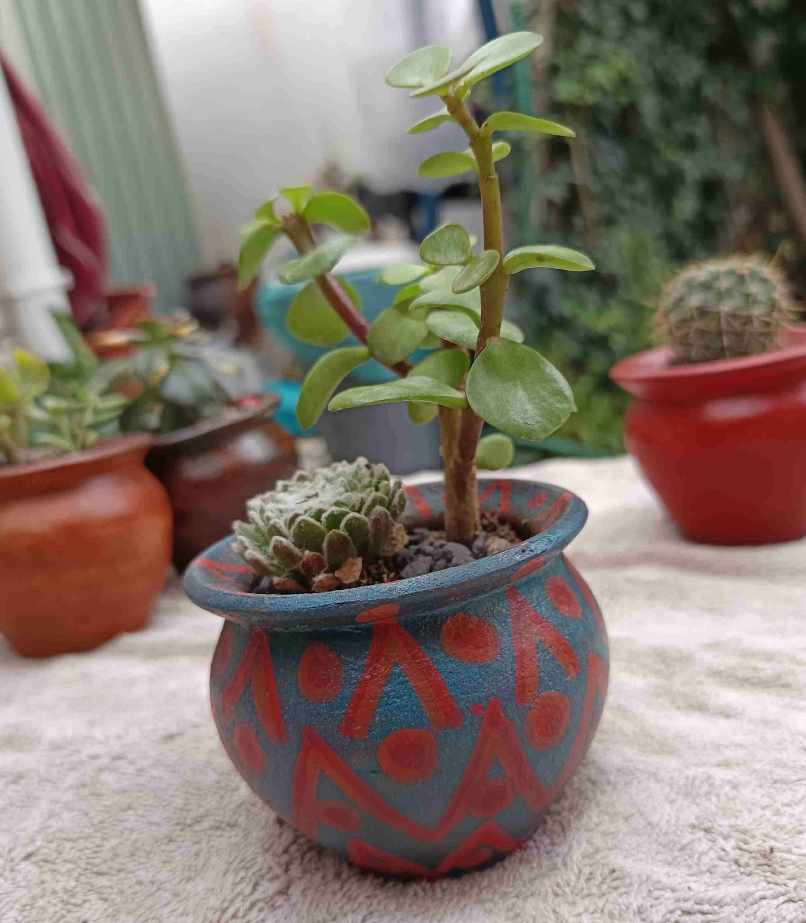 Maceta de barro con planta suculenta. Regalo mamá - miniatura 2