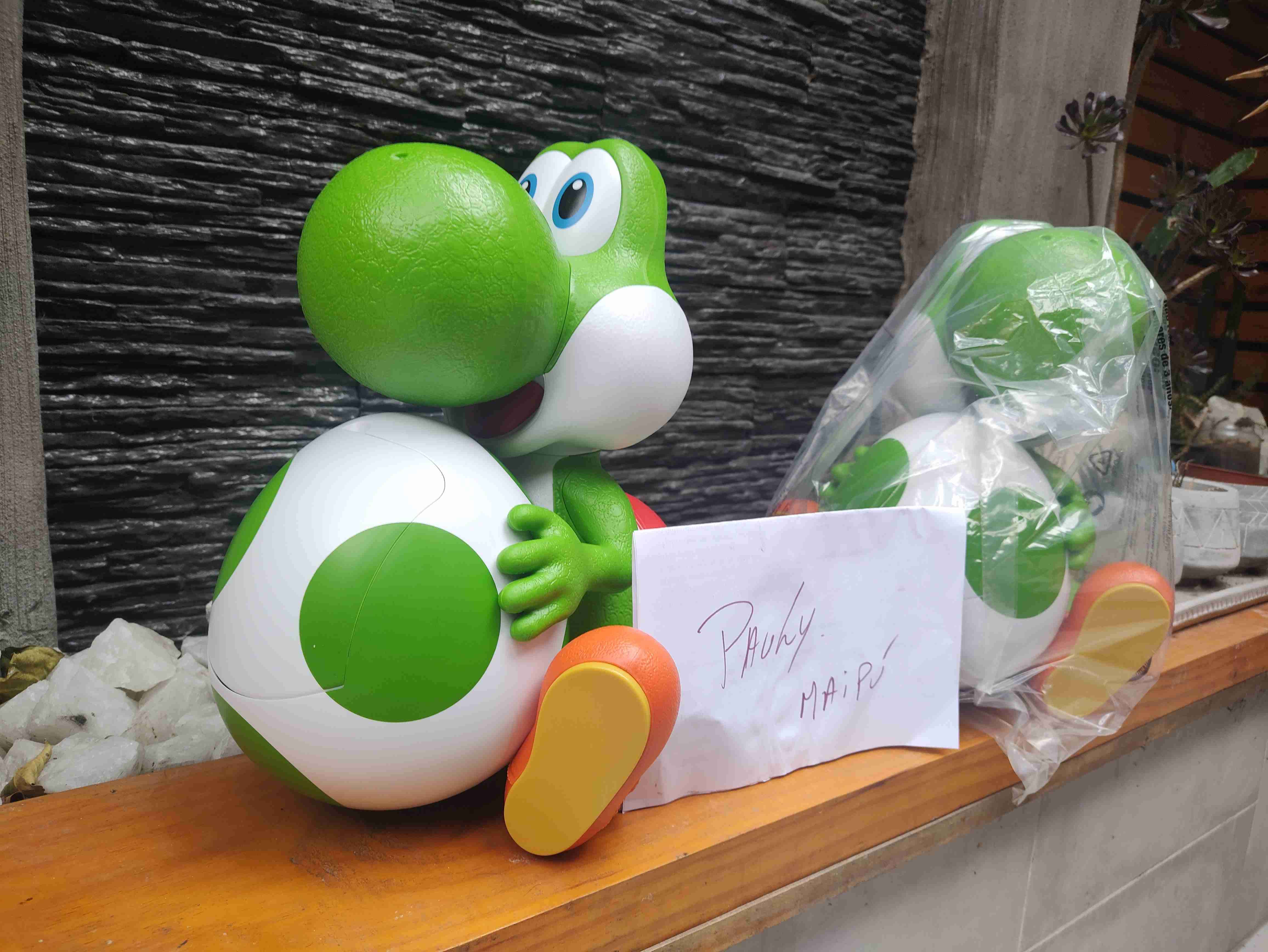 Palomera Yoshi - miniatura 1