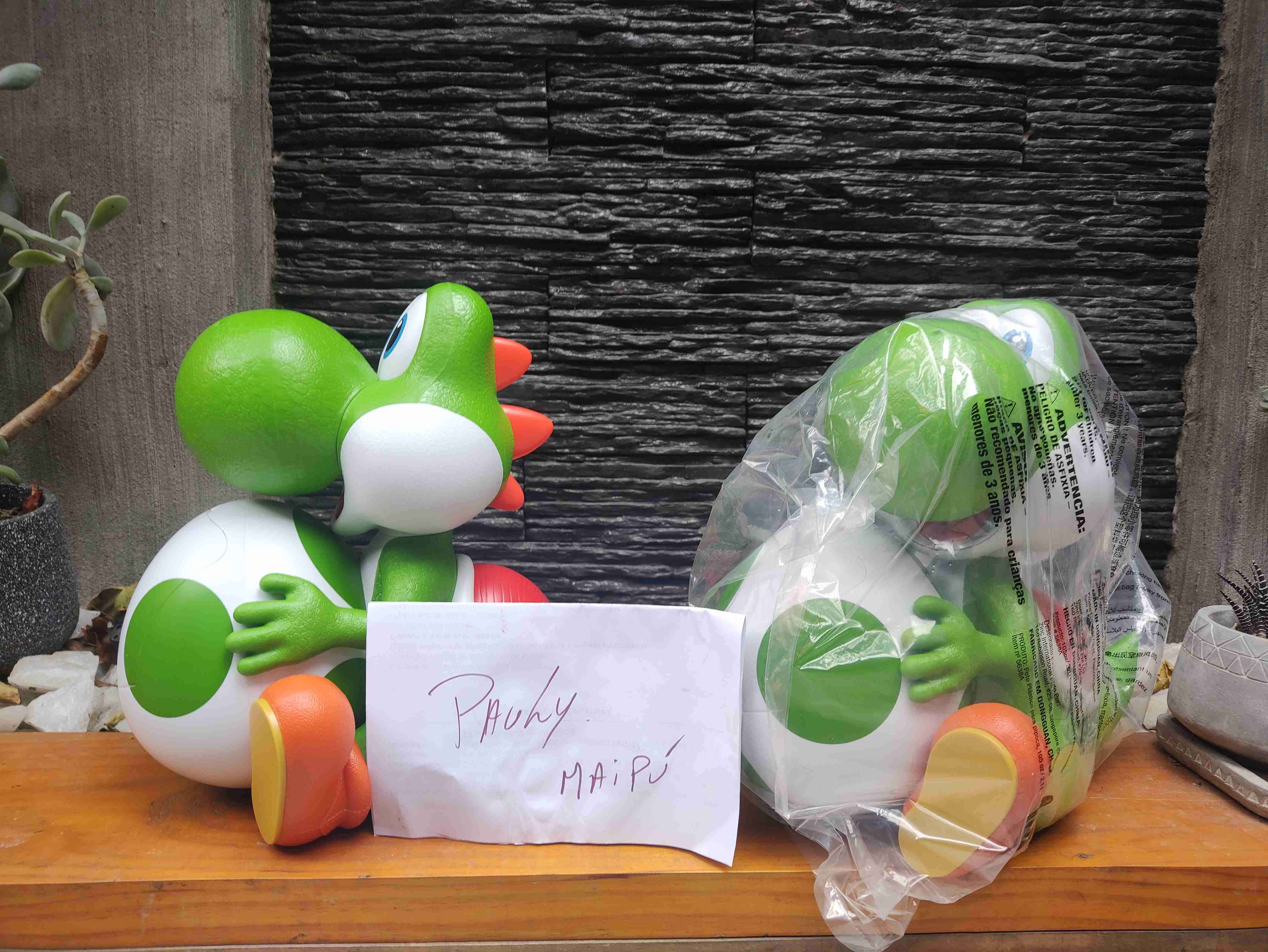 Palomera Yoshi - miniatura 2