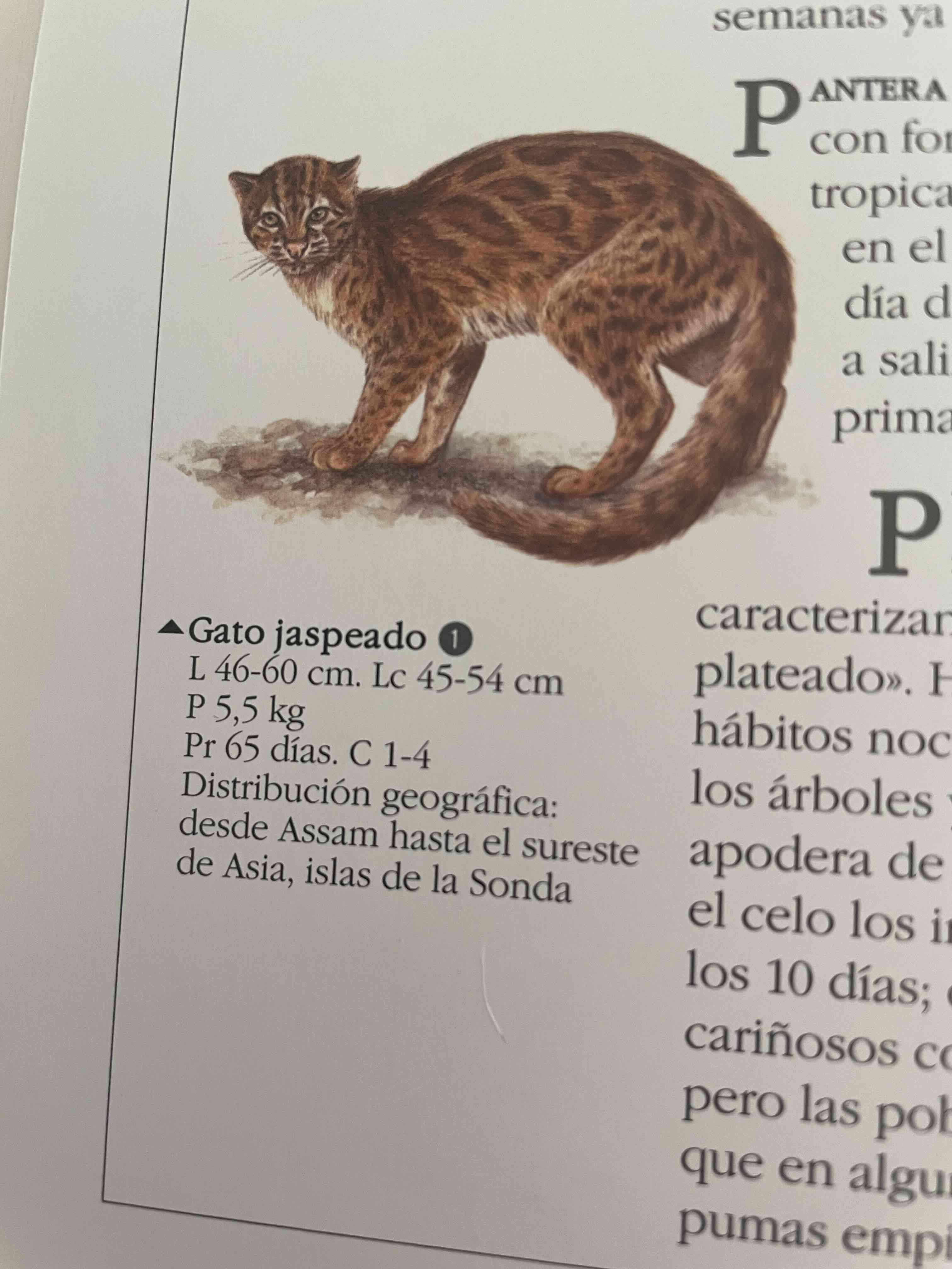 Libro Atlas de Animales - miniatura 3