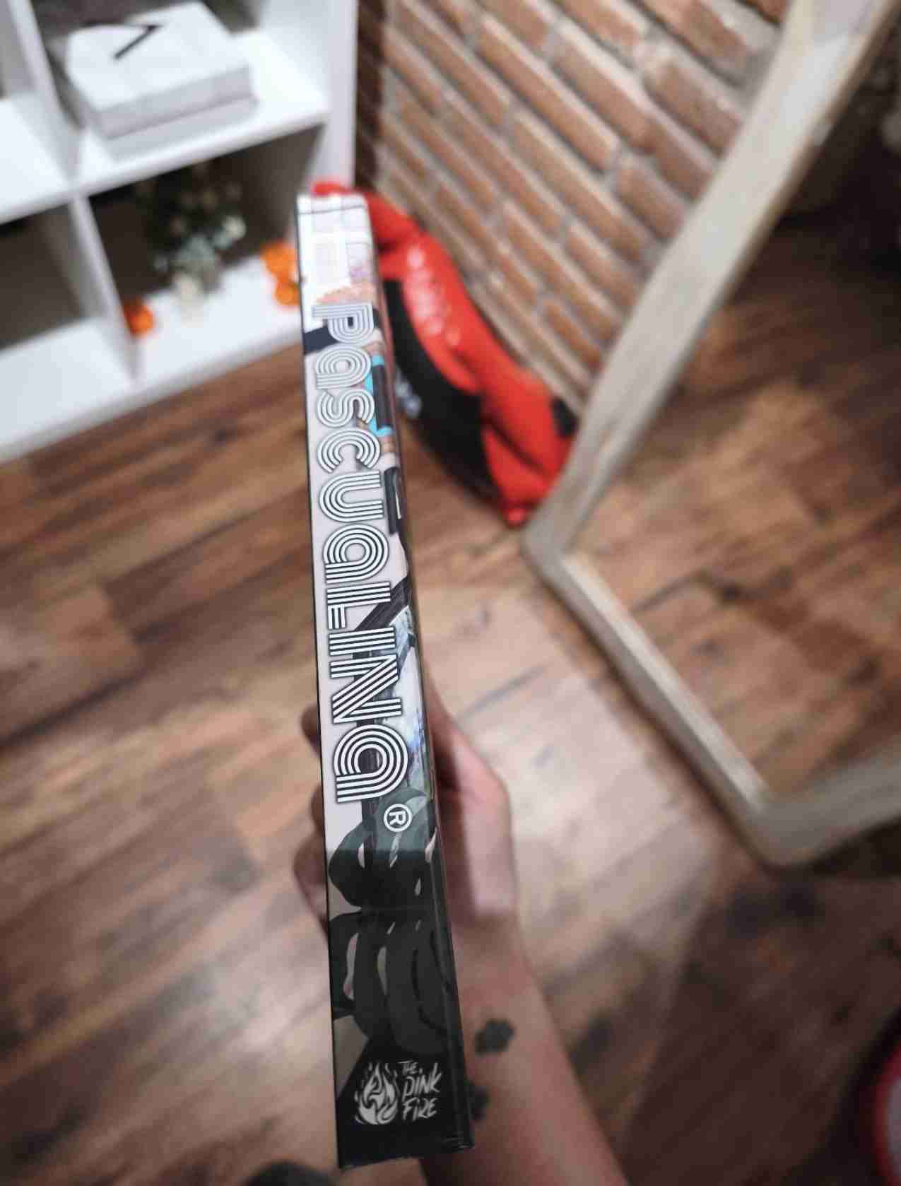 Agenda y novela Pascualina - miniatura 2