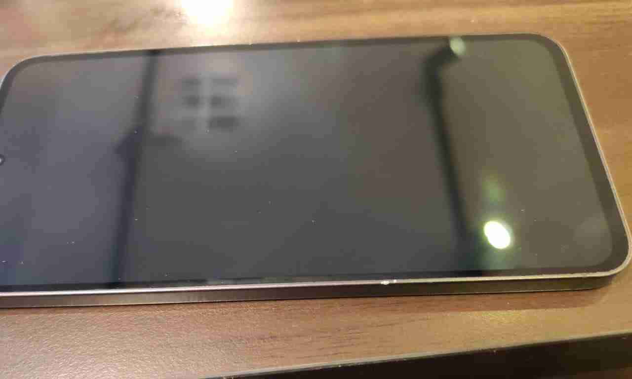 S24 FE - miniatura 2