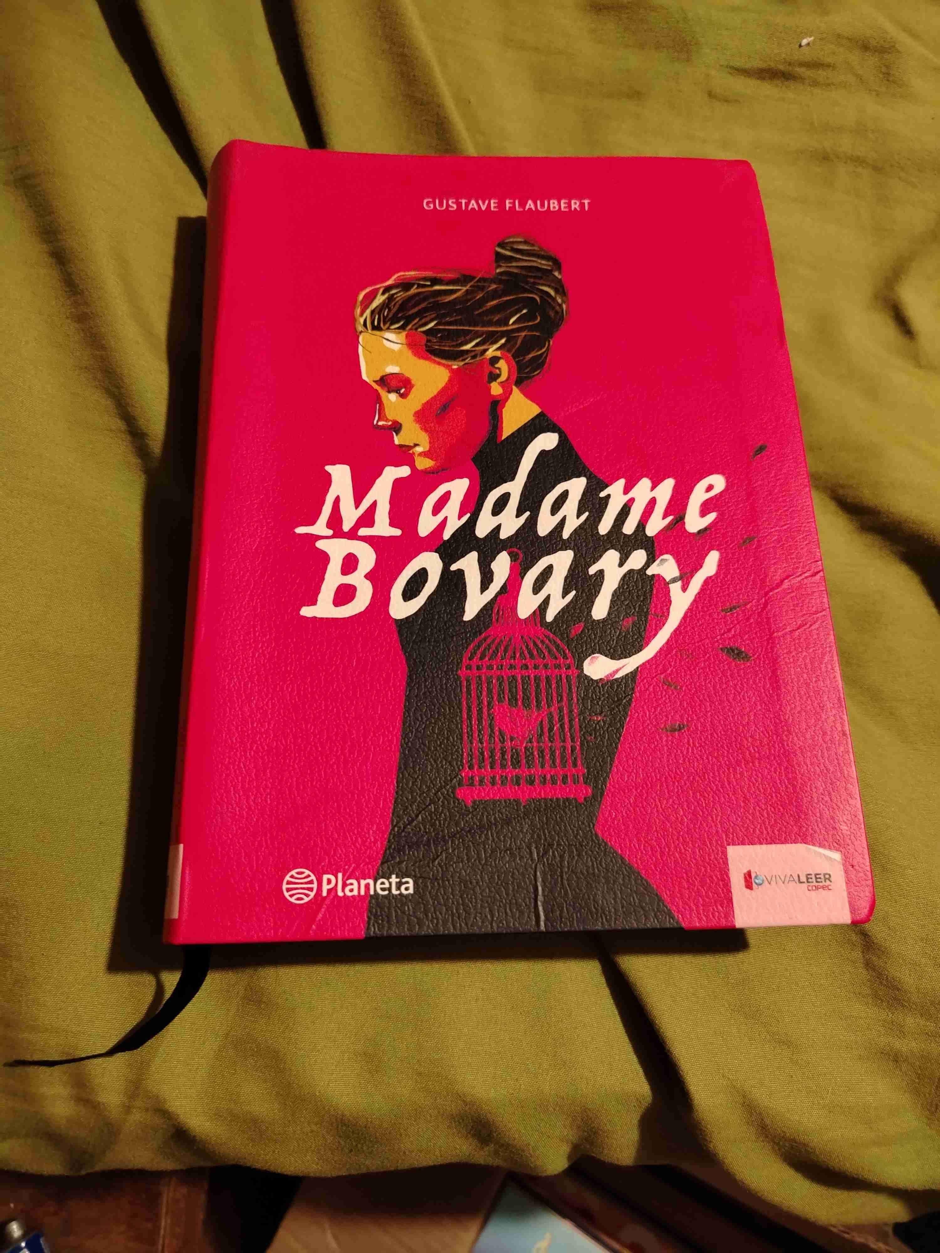 Libro Madame Bovary Flaubert