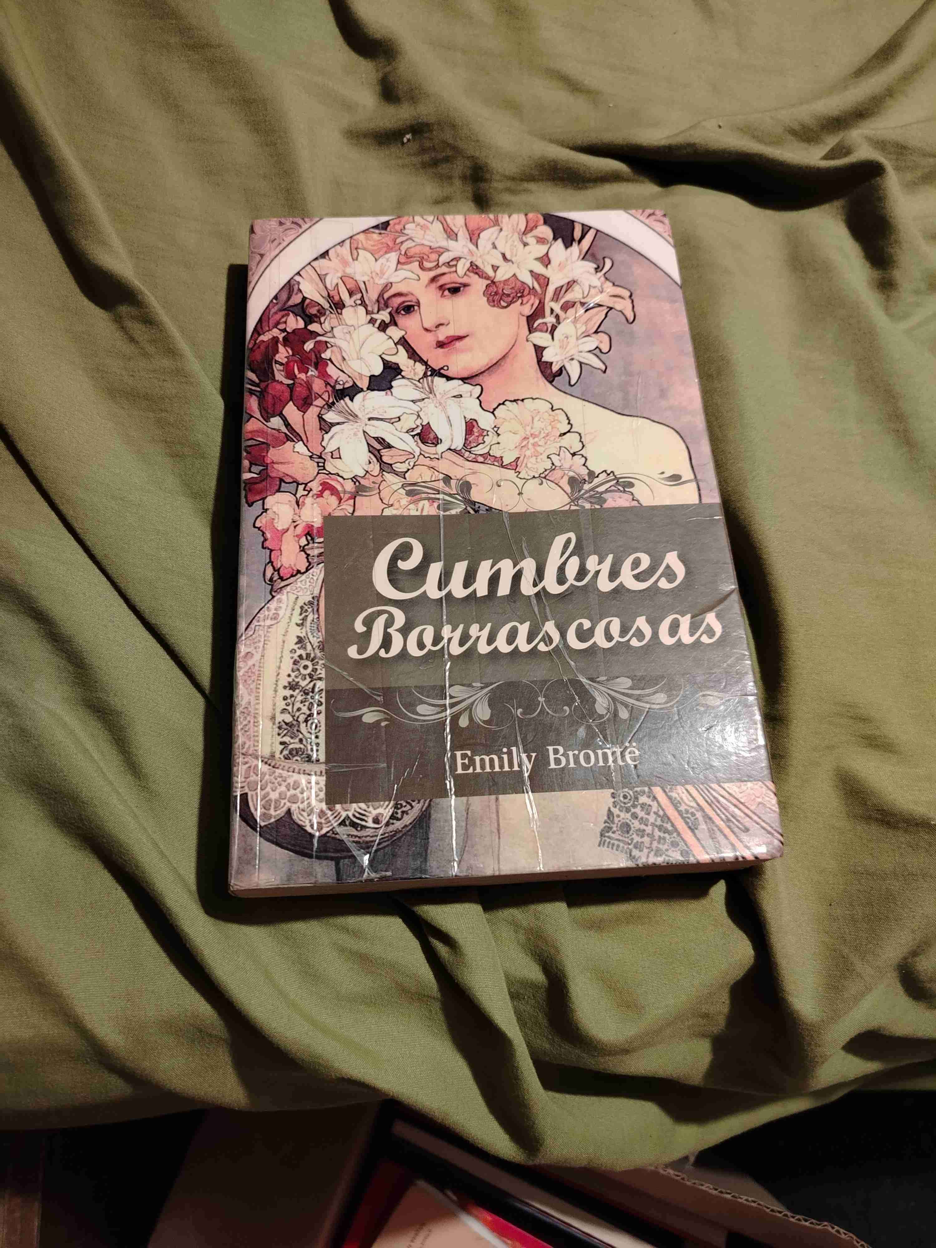 Libro Cumbres Borrascosas