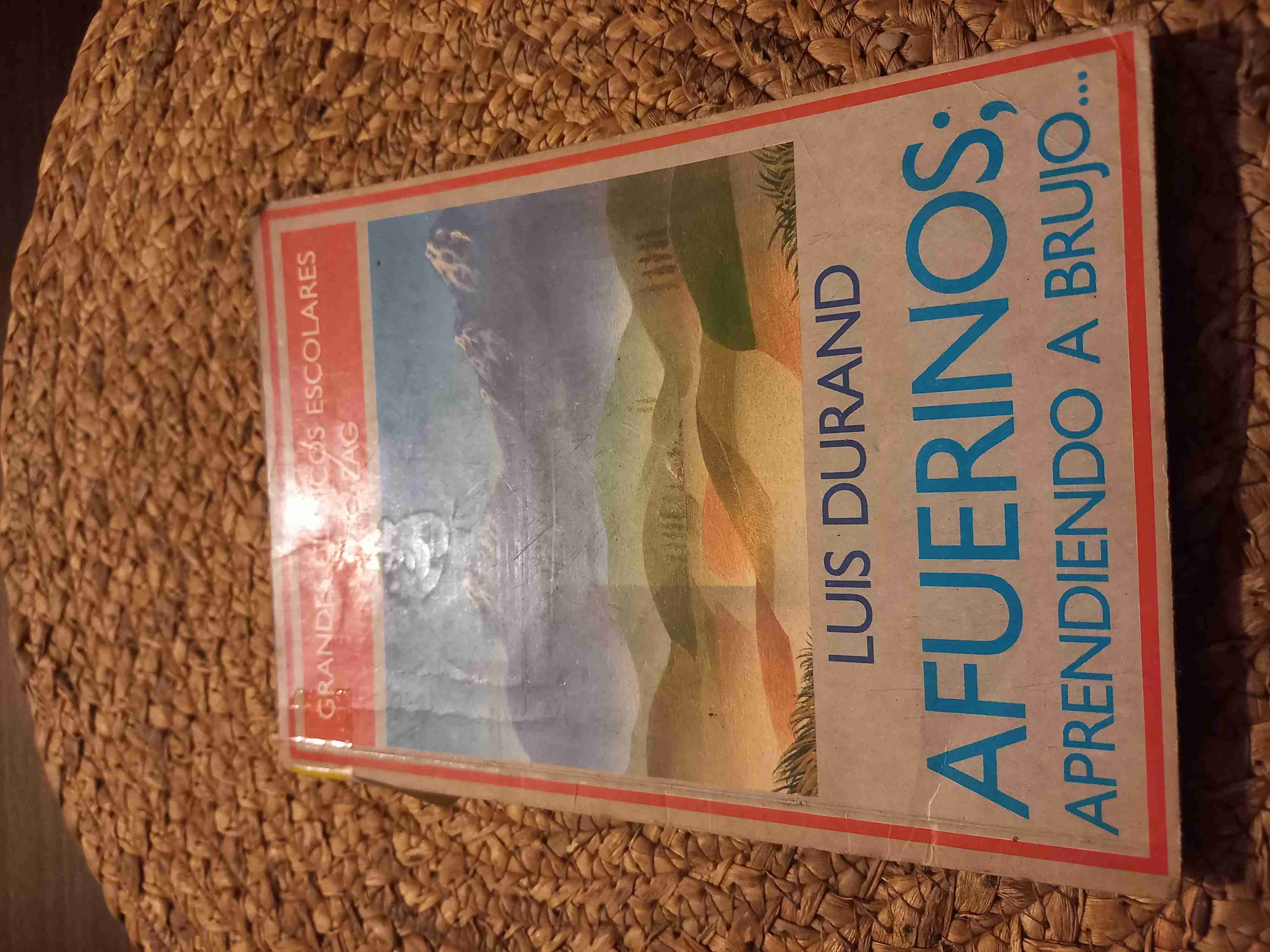 Libro 'Afuerinos' por Luis Durand