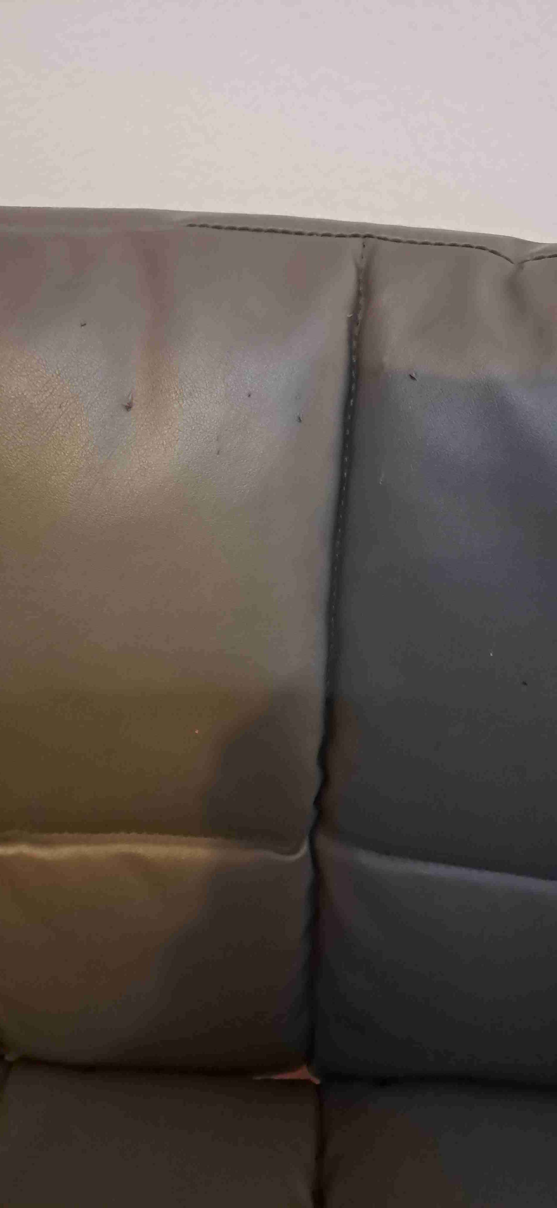 Sillón giratorio gris para peluquería - miniatura 5