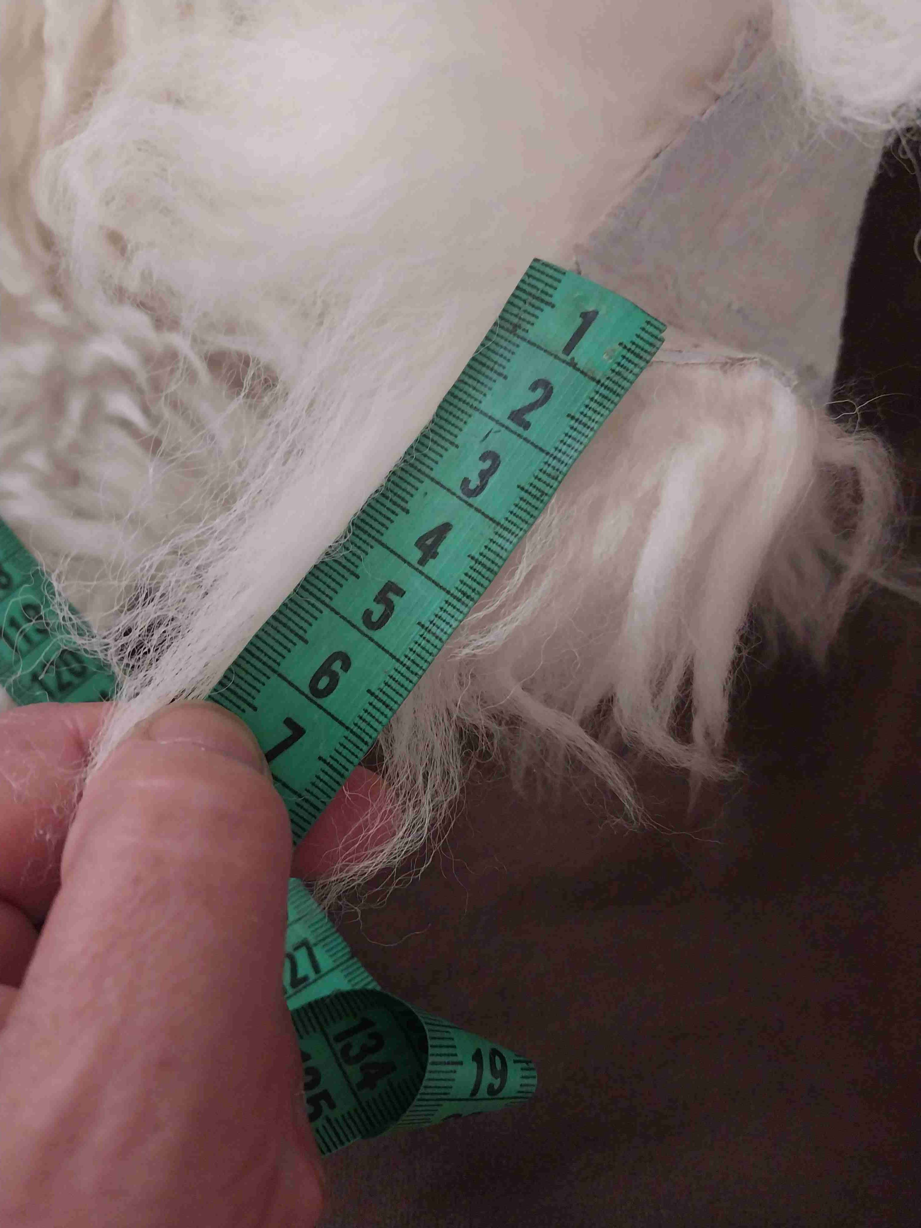 Piel de oveja natural - miniatura 5