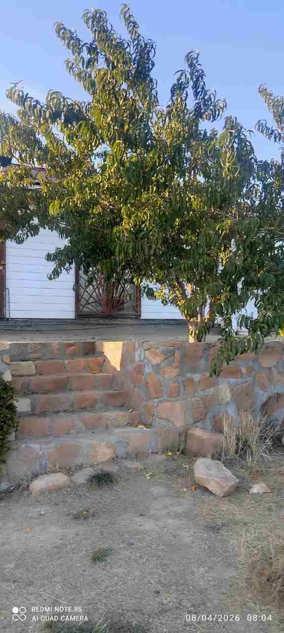 Parcela Matancilla - miniatura 4