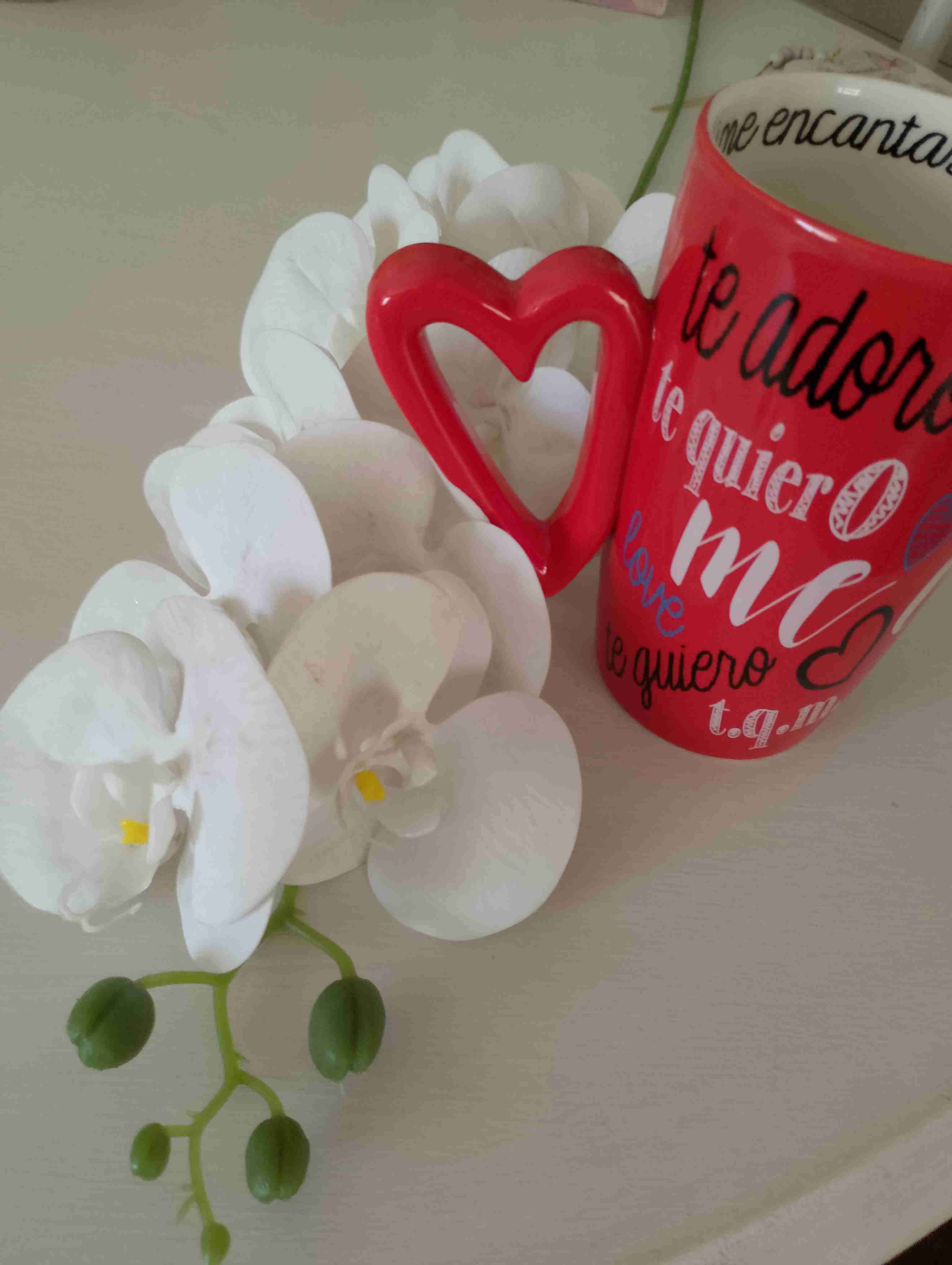 Tazón rojo con diseño de corazones - miniatura 4