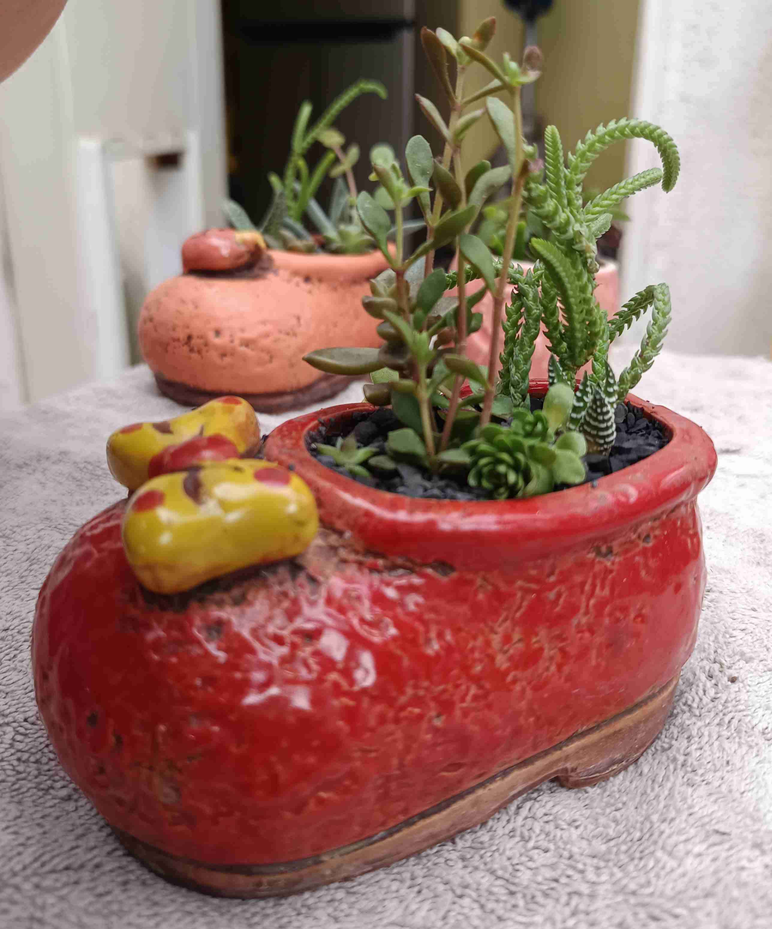 Macetero de cerámica con suculentas. Regalo mamá - miniatura 2