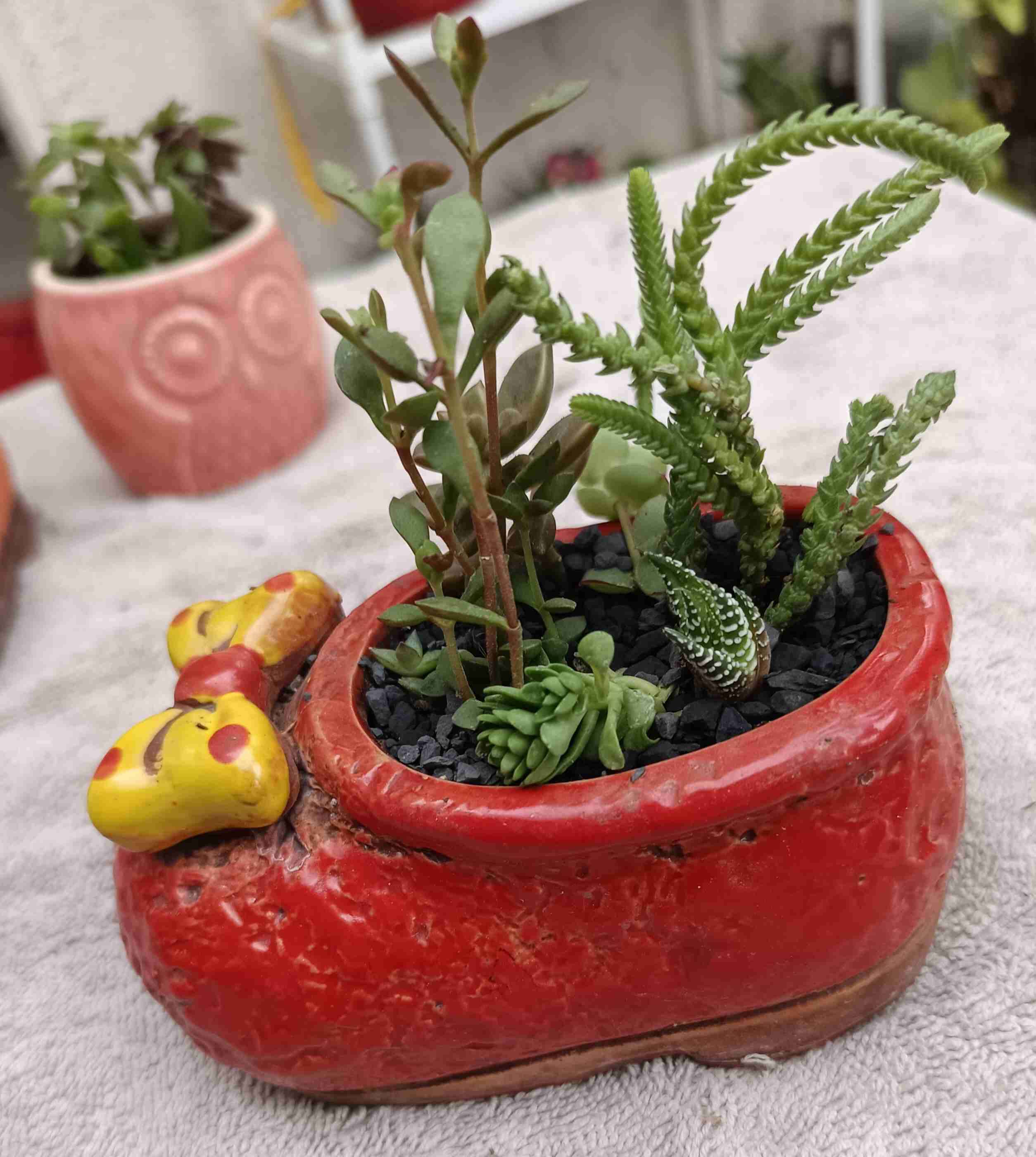 Macetero de cerámica con suculentas. Regalo mamá - miniatura 4