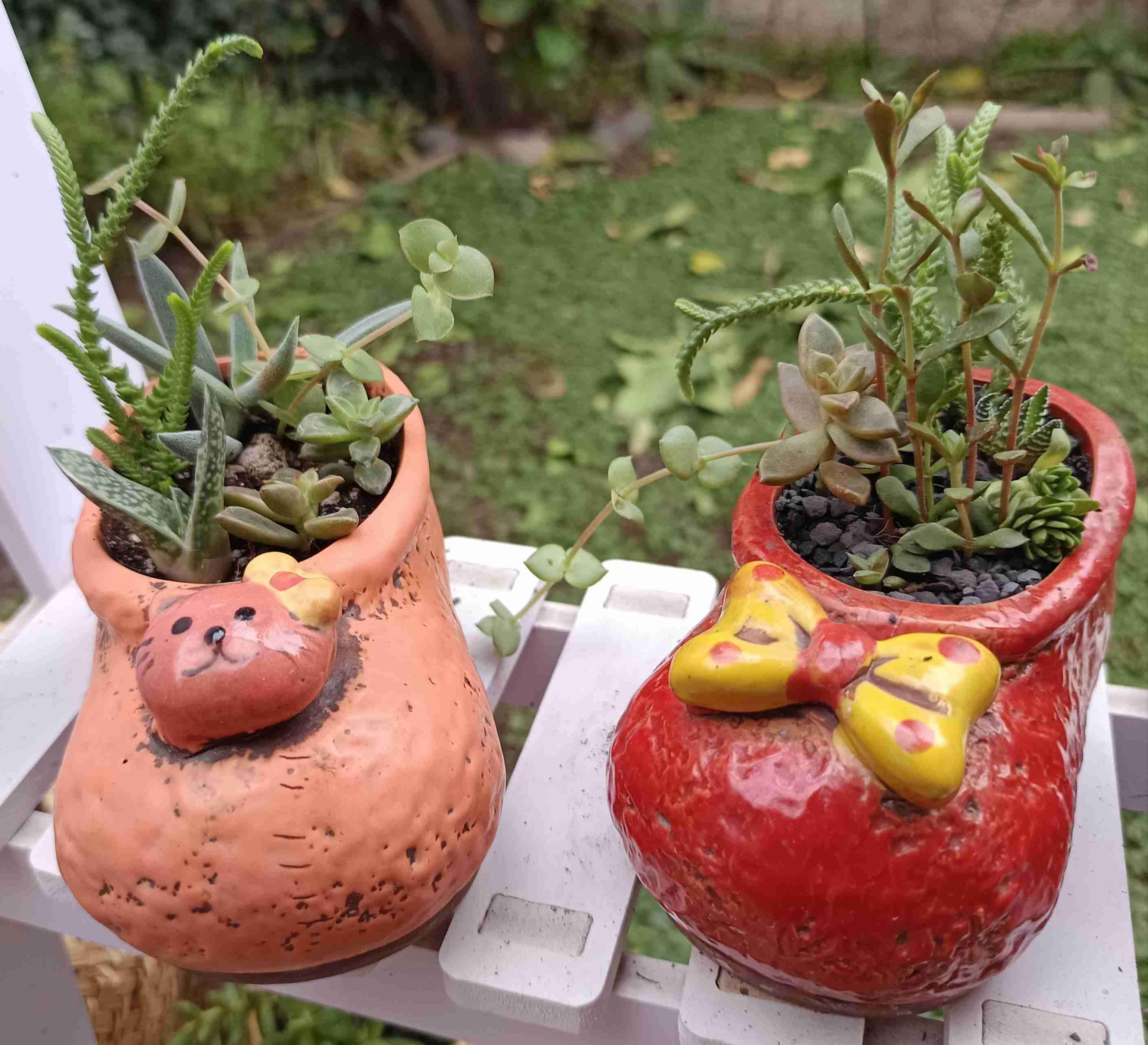 Macetero de cerámica con suculentas. Regalo mamá - miniatura 6