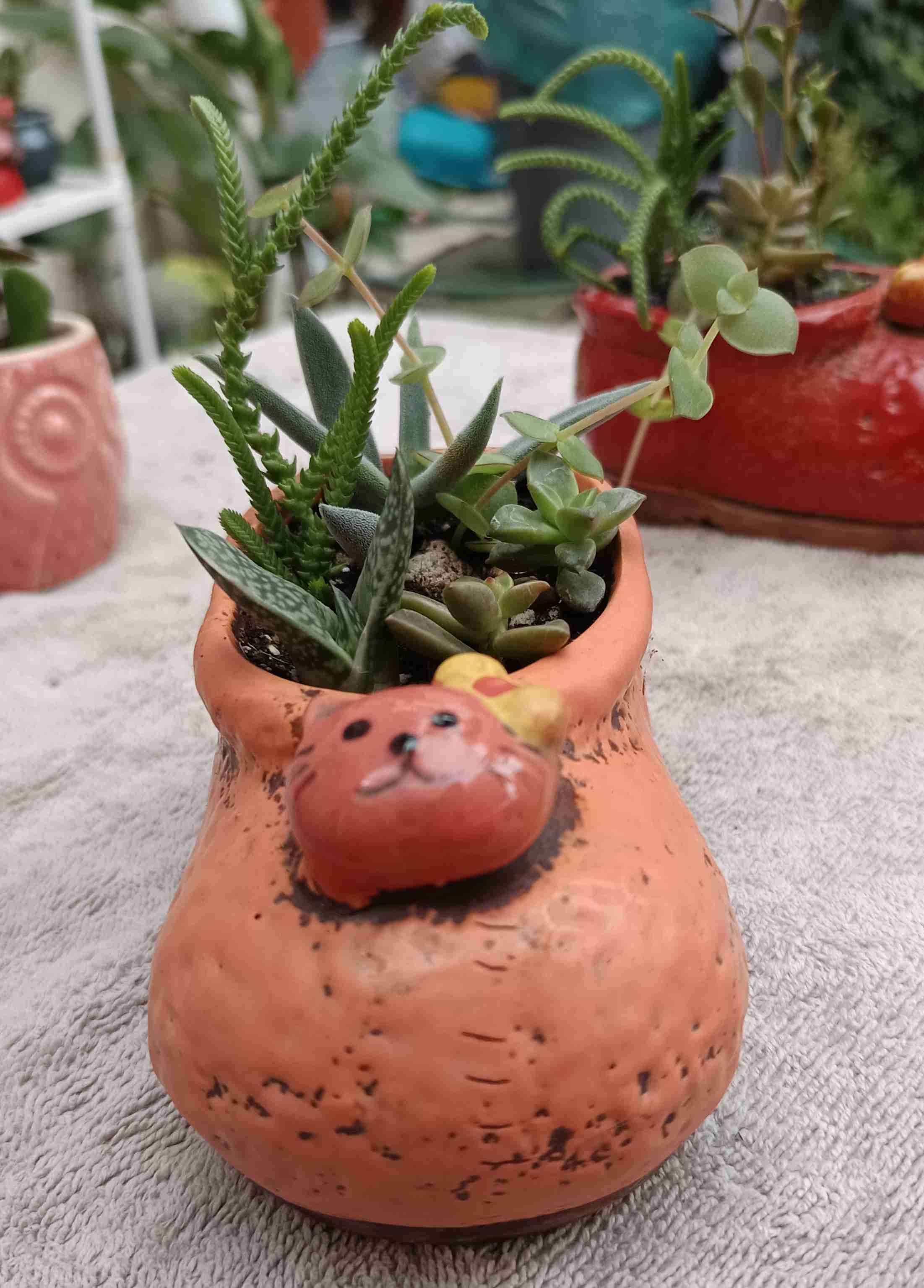 Suculenta en maceta de cerámica. Regalo mamá - miniatura 1