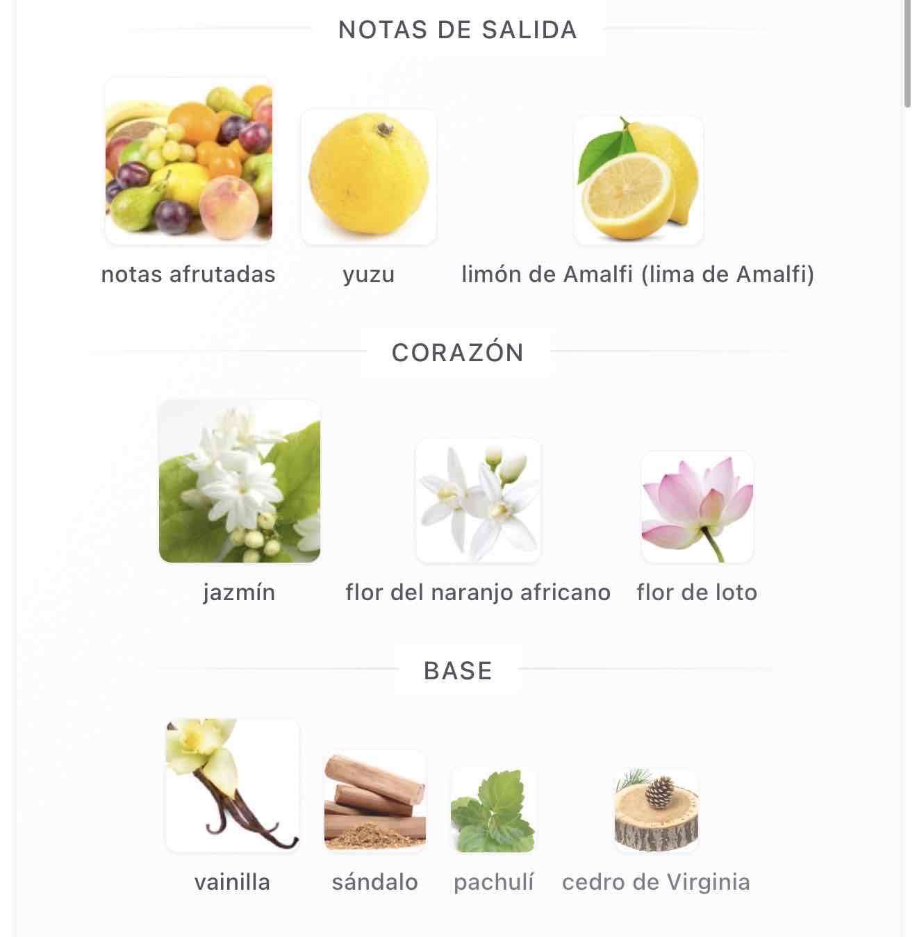 Perfume Trussardi Donna 100ml - miniatura 4