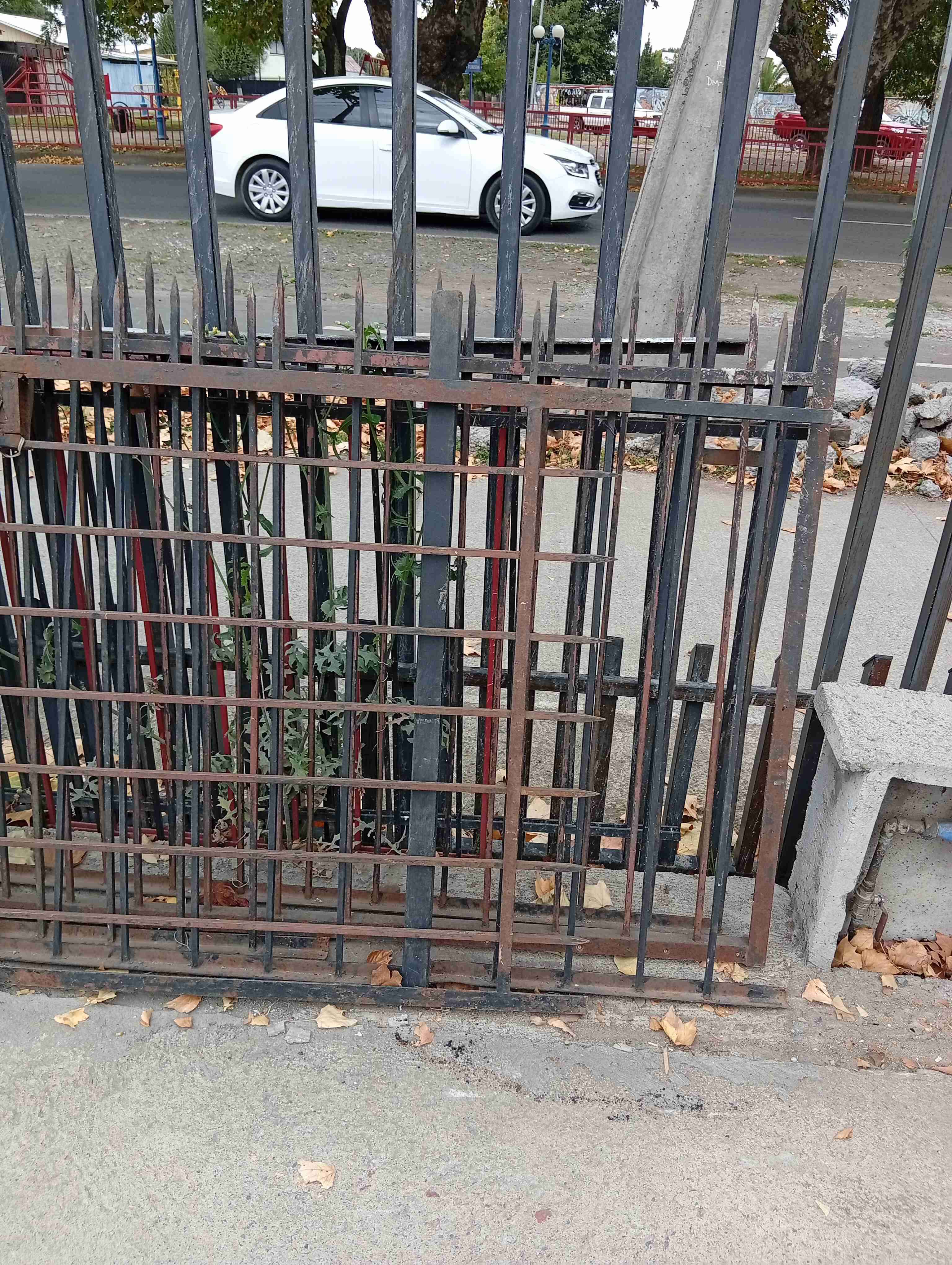 Reja metálica negra - miniatura 4