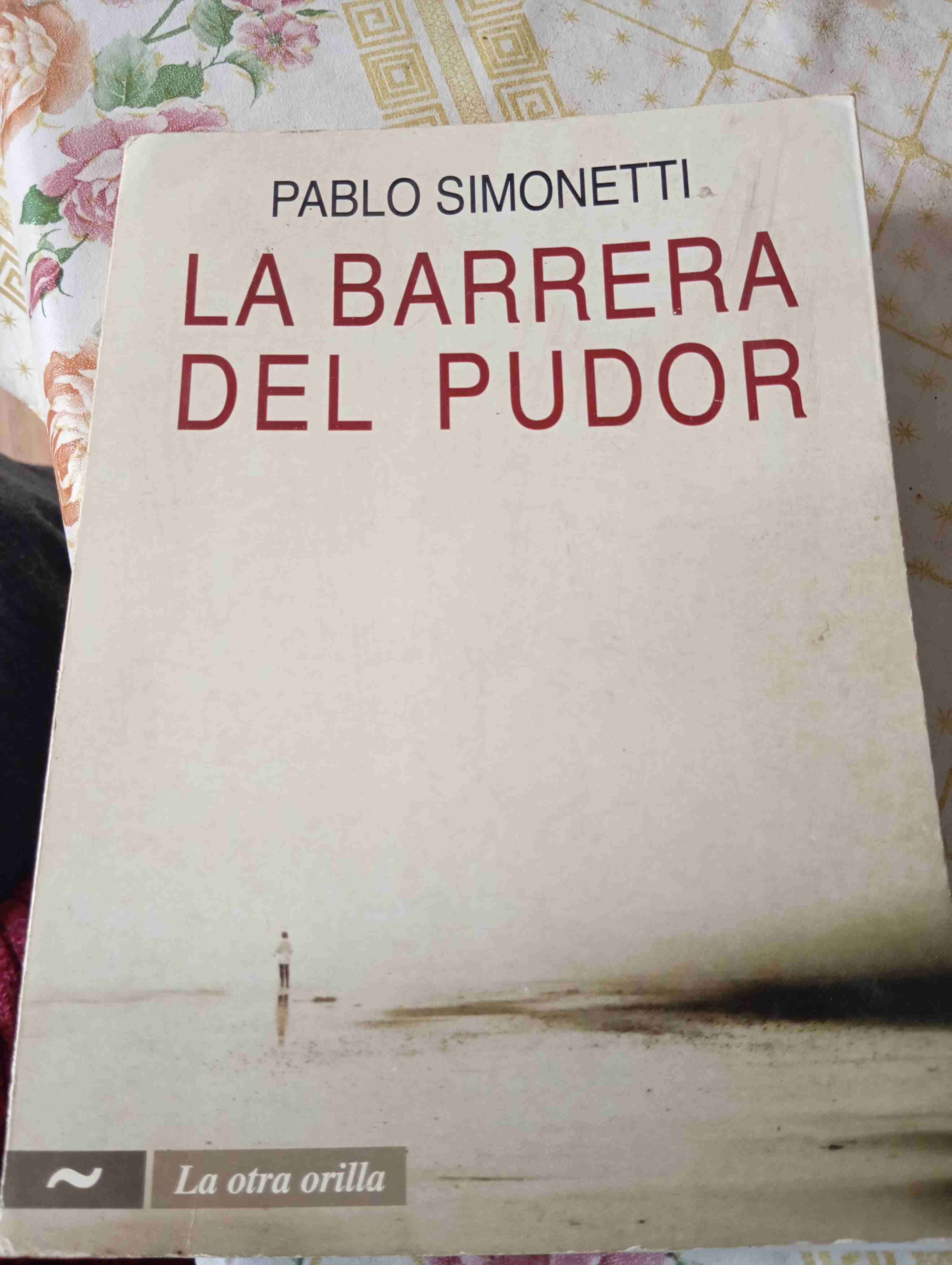 La Barrera del Pudor - Pablo Simonetti - miniatura 1