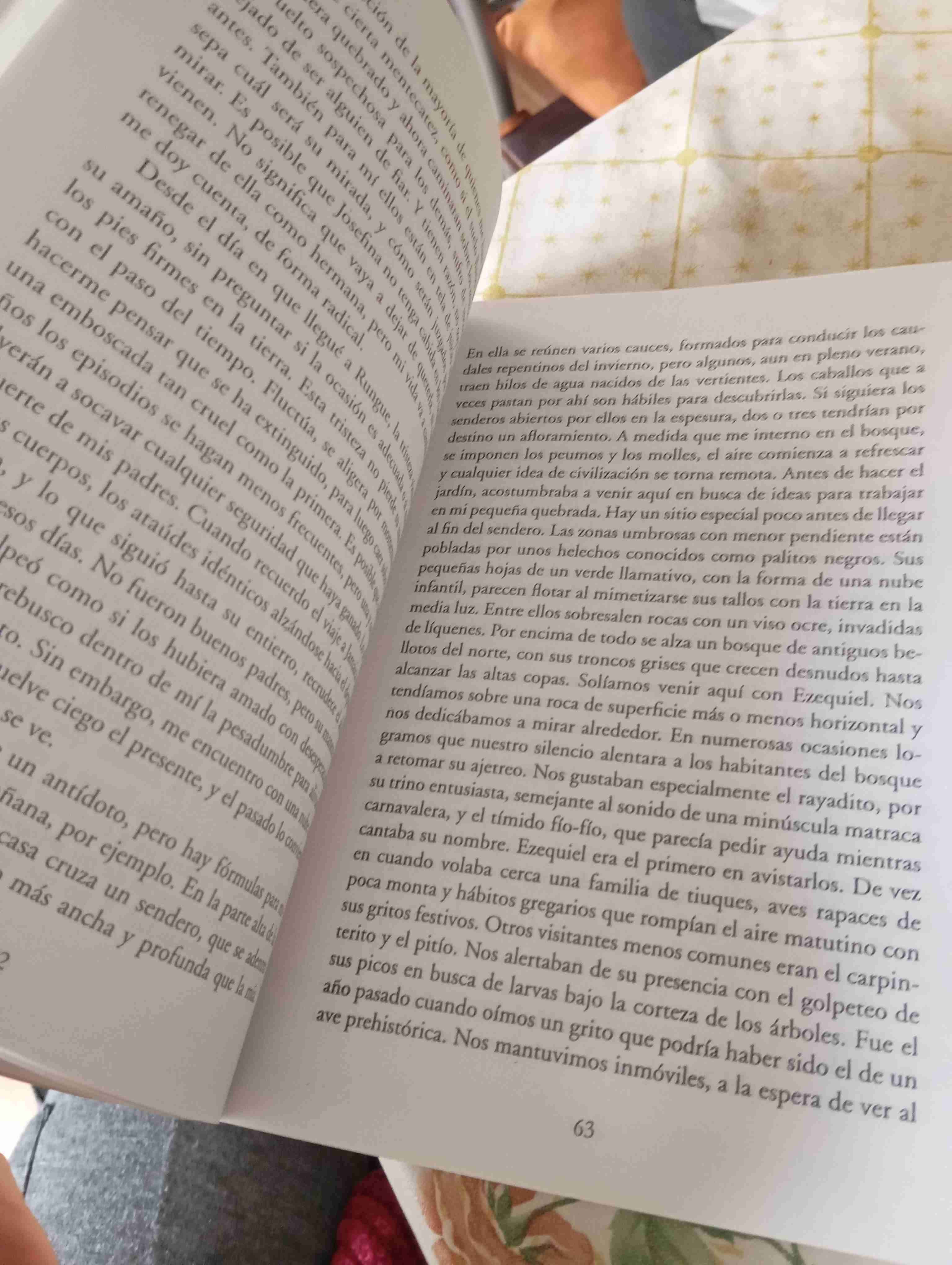 La Barrera del Pudor - Pablo Simonetti - miniatura 3