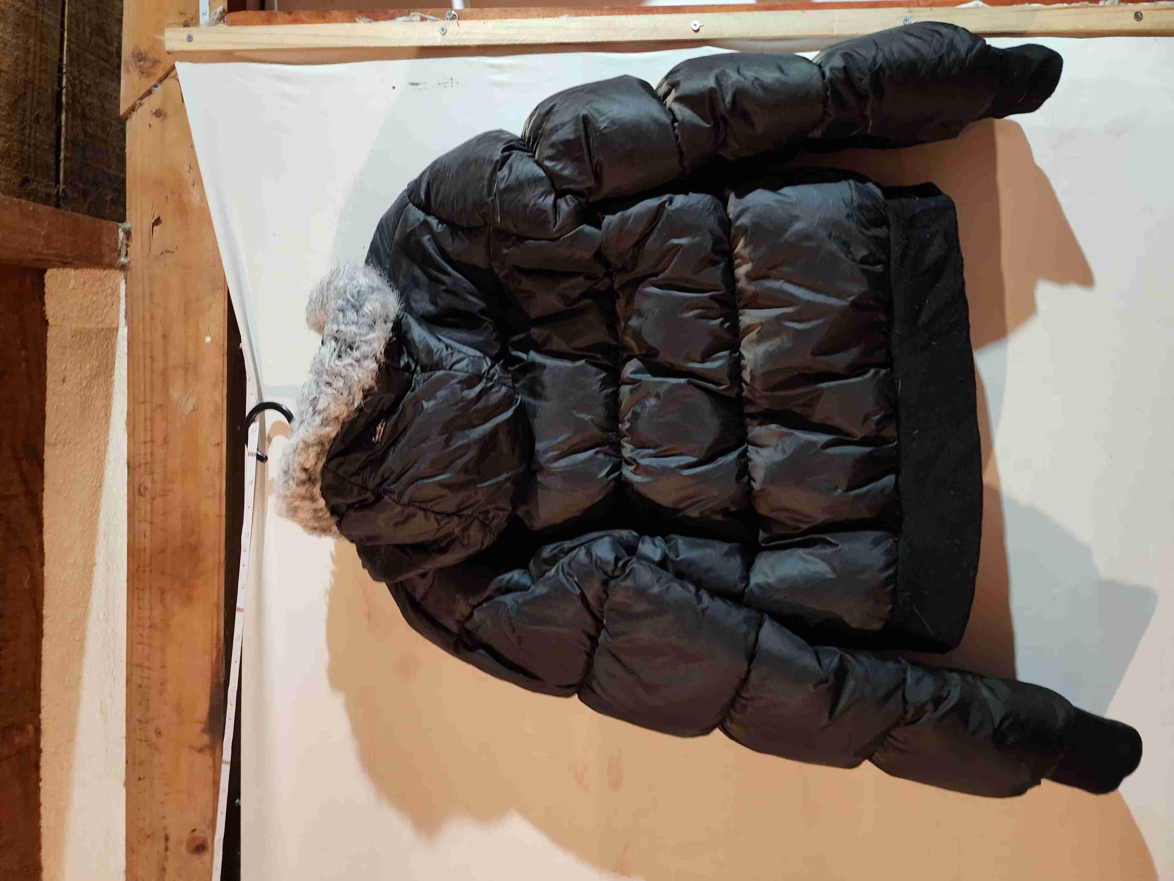 Chaqueta en excelente estado - miniatura 4