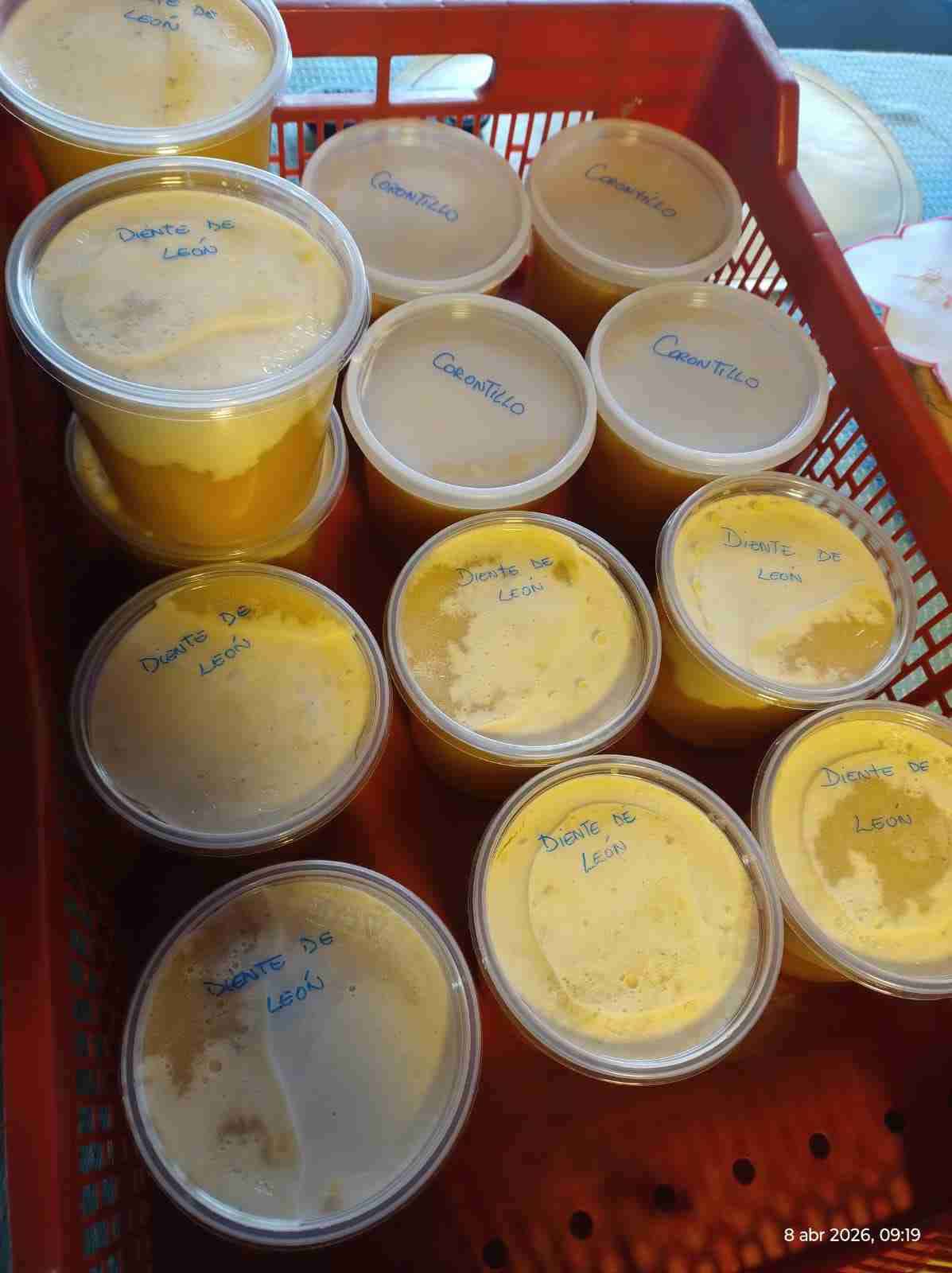 Miel de diente de león - miniatura 1