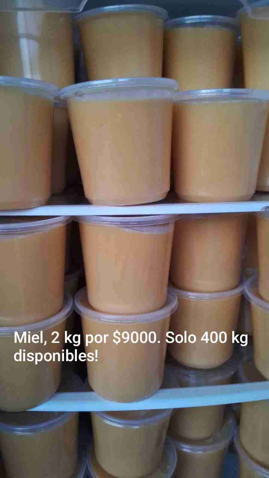 Miel de diente de león - miniatura 2