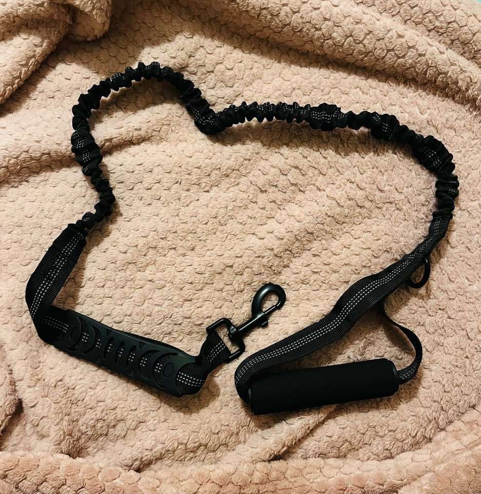 Correa elástica anti-tirón para perros - miniatura 1