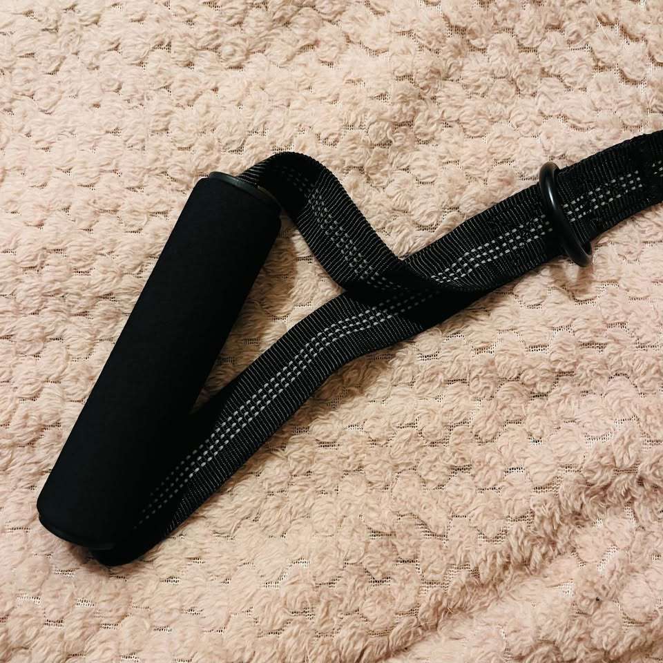 Correa elástica anti-tirón para perros - miniatura 3