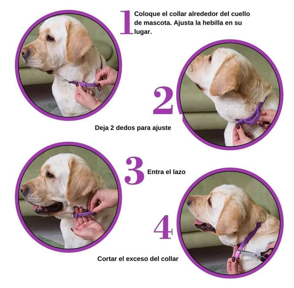Collar calmante ajustable para perro - miniatura 6