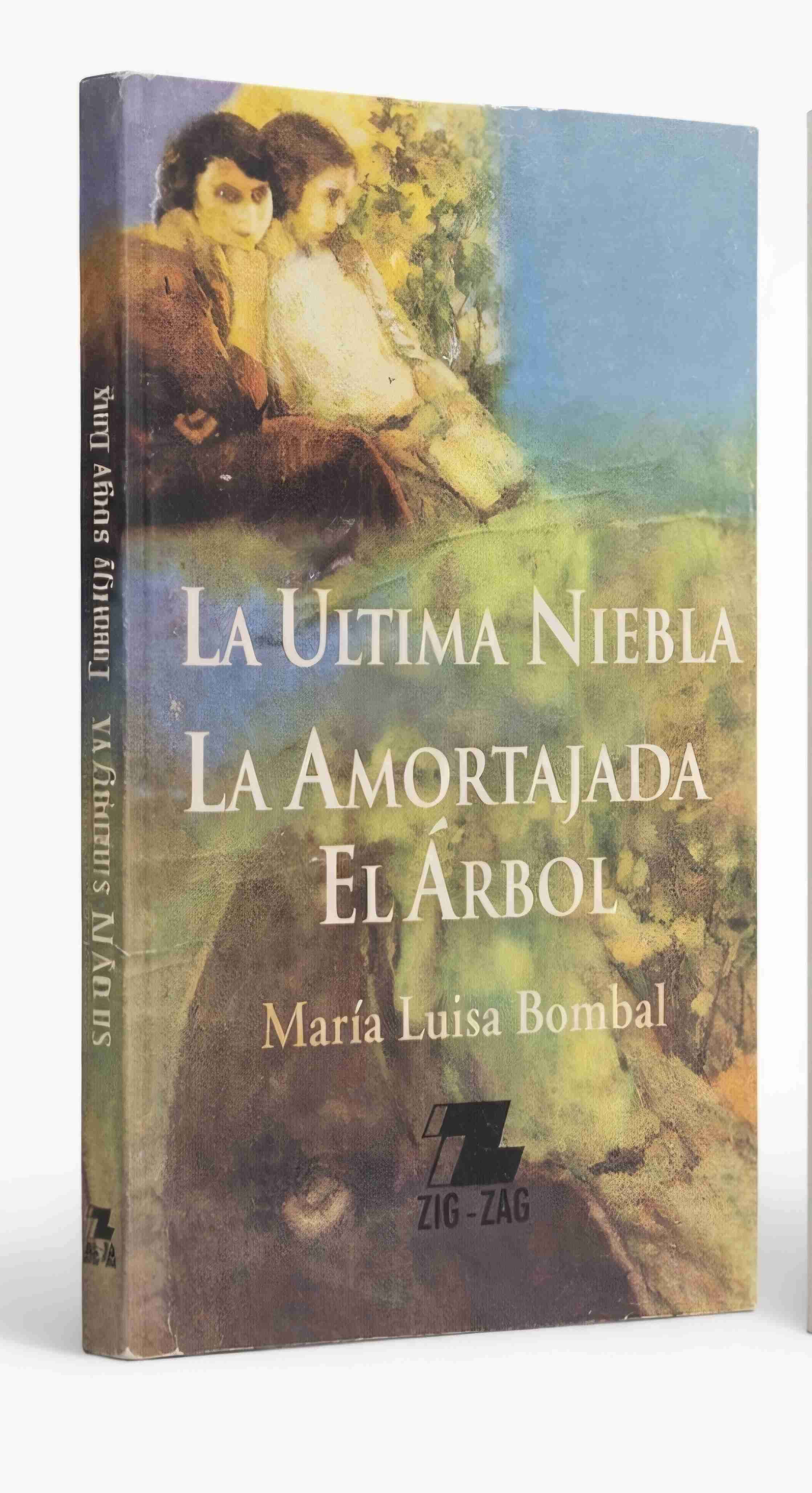 Libro 'La Última Niebla' de María Luisa Bombal