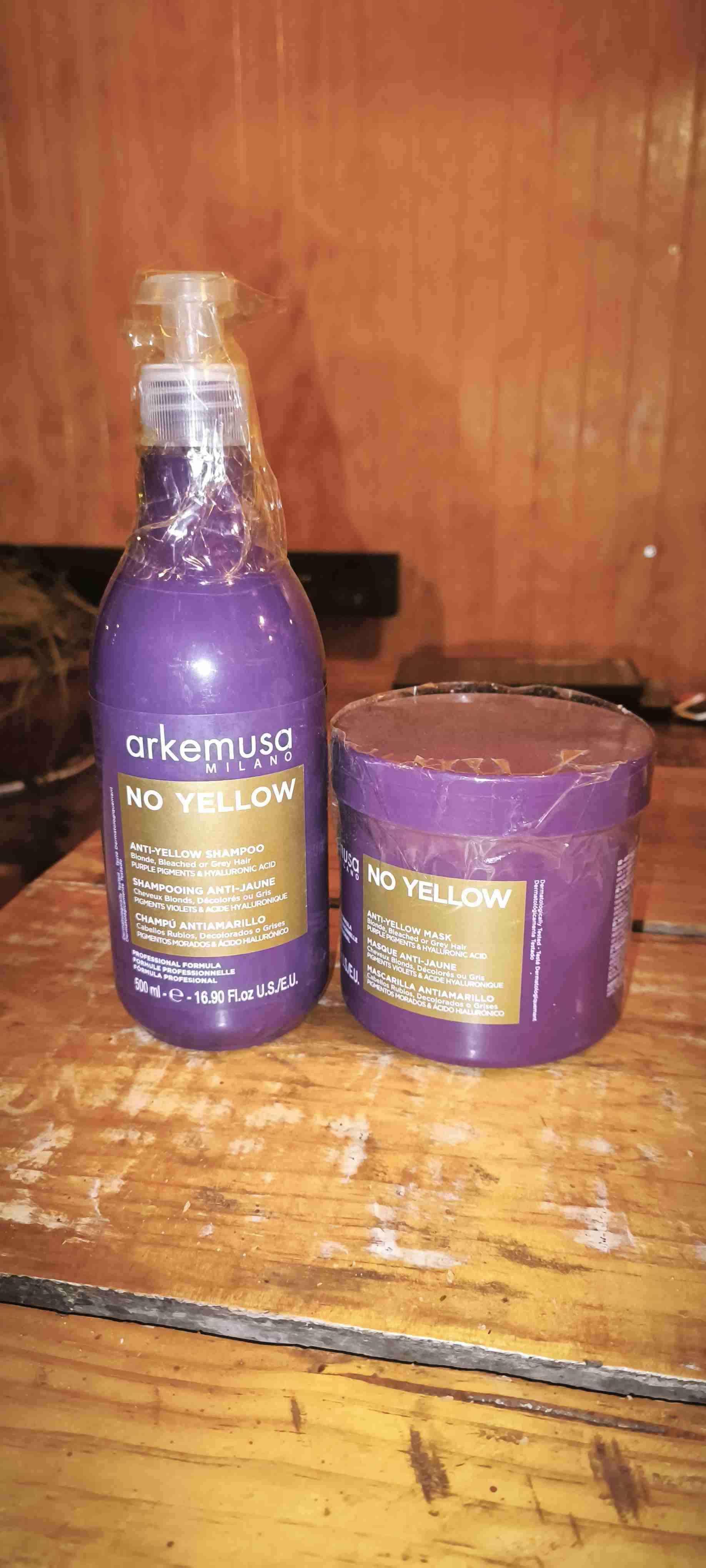 Kit shampoo y máscara antialo