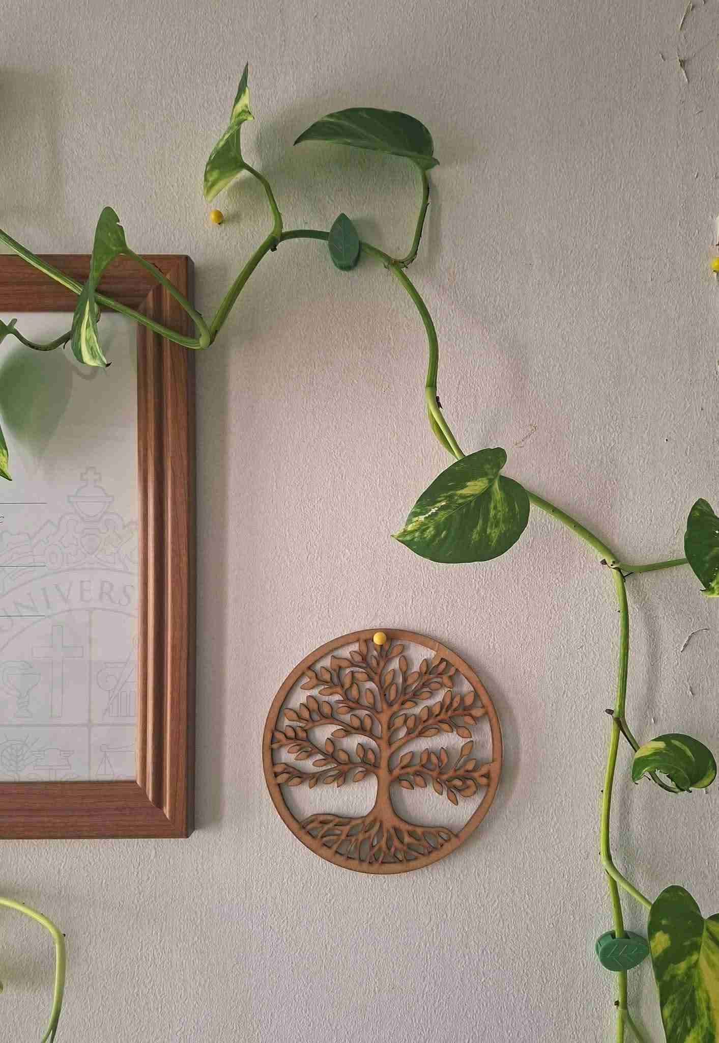 Sujetadores de hojas verdes - miniatura 2