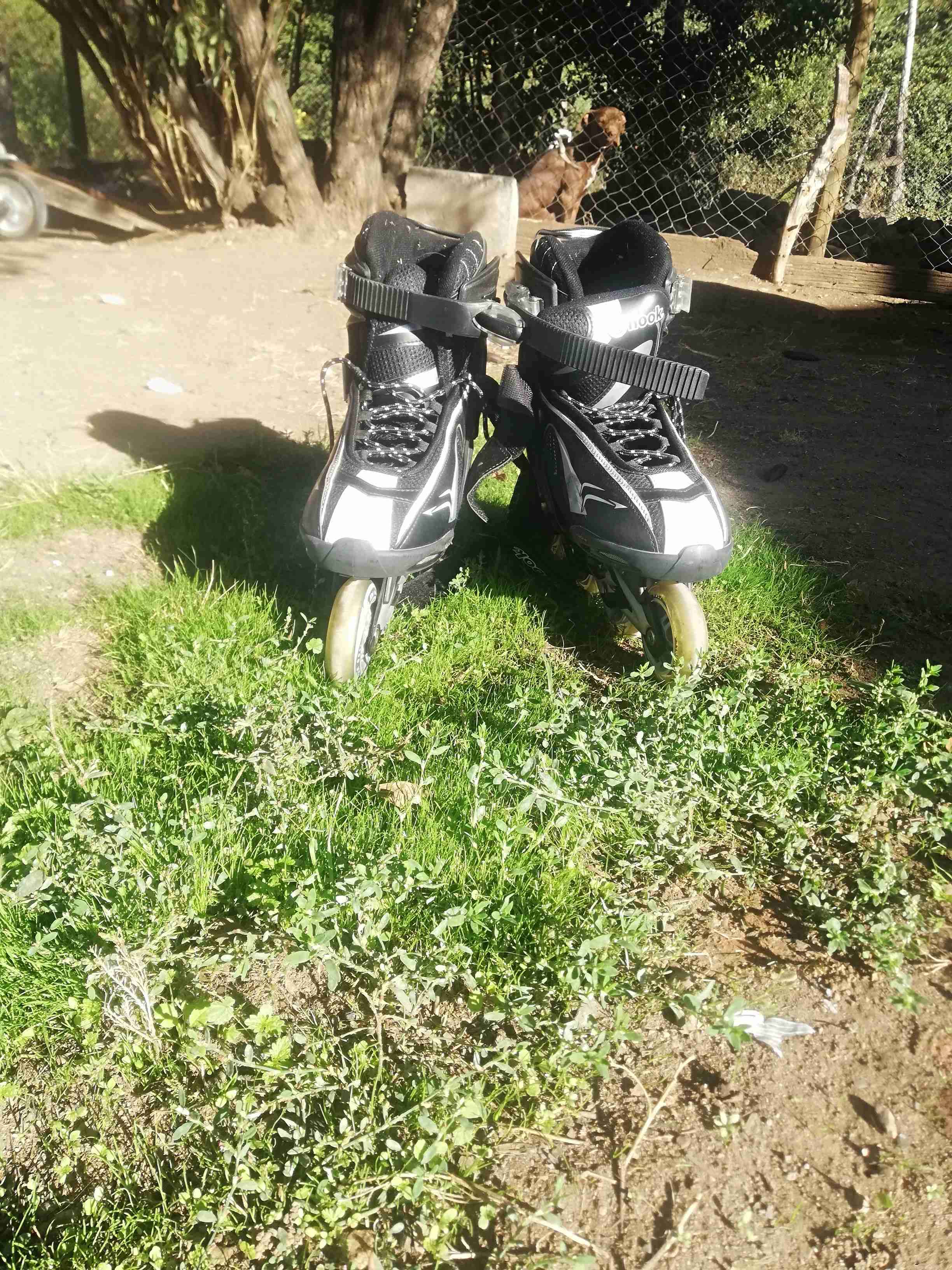 Patines en línea negros y blancos - miniatura 1