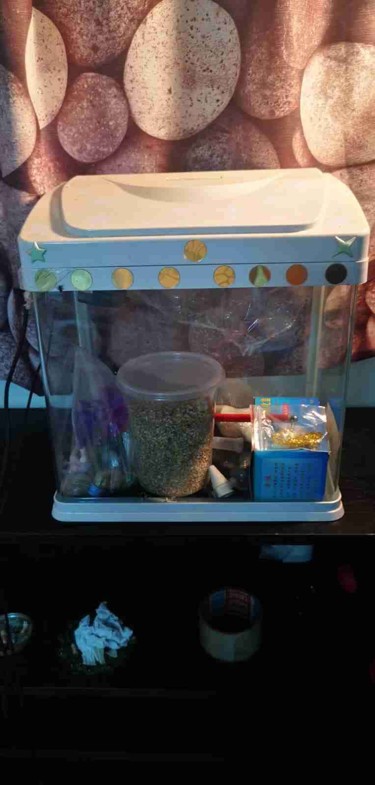 Acuario pequeño con accesorios