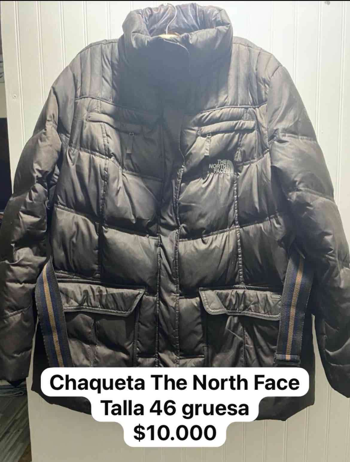 Chaqueta gruesa The North Face