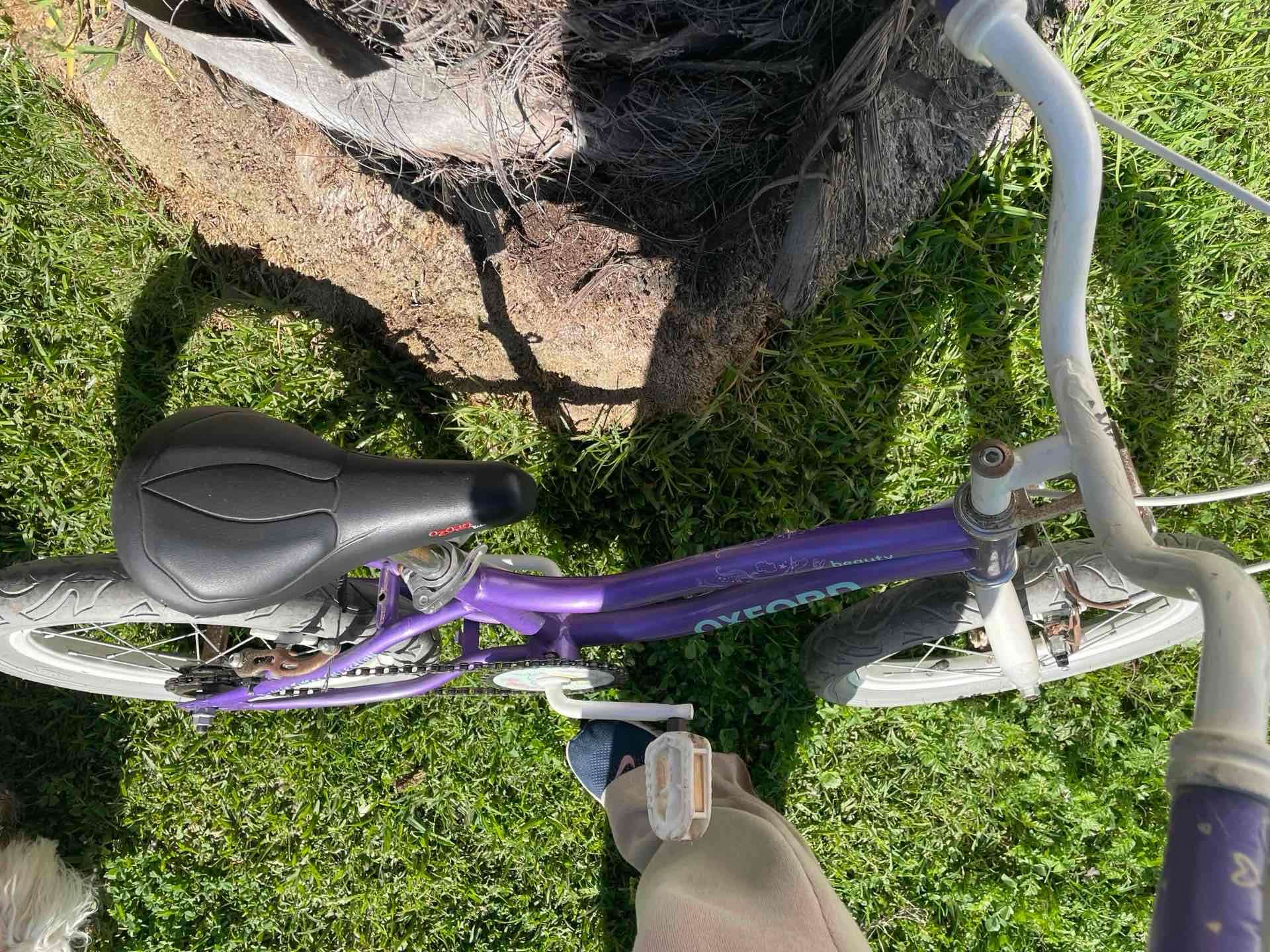 Bicicleta infantil Oxford morada - miniatura 2