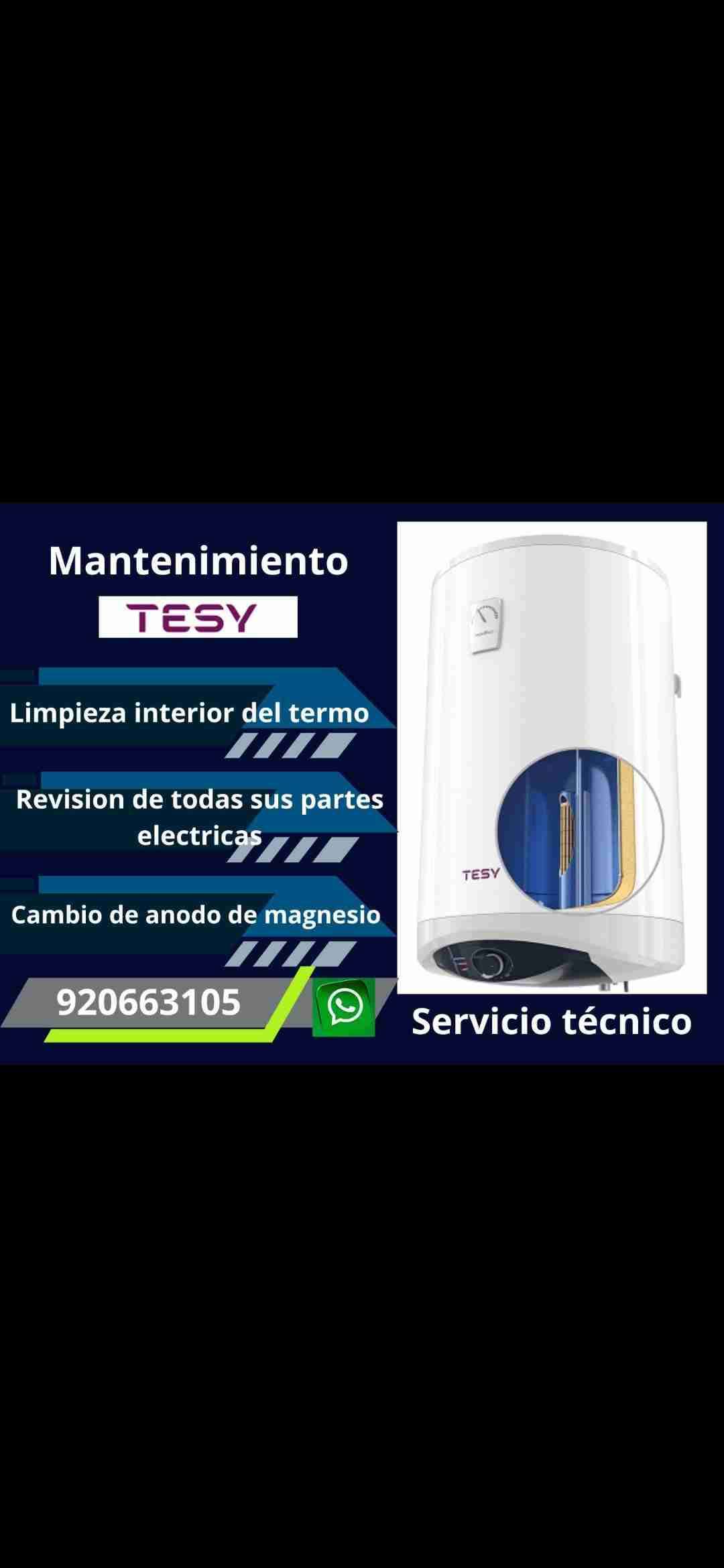 Servicio técnico de termo eléctrico