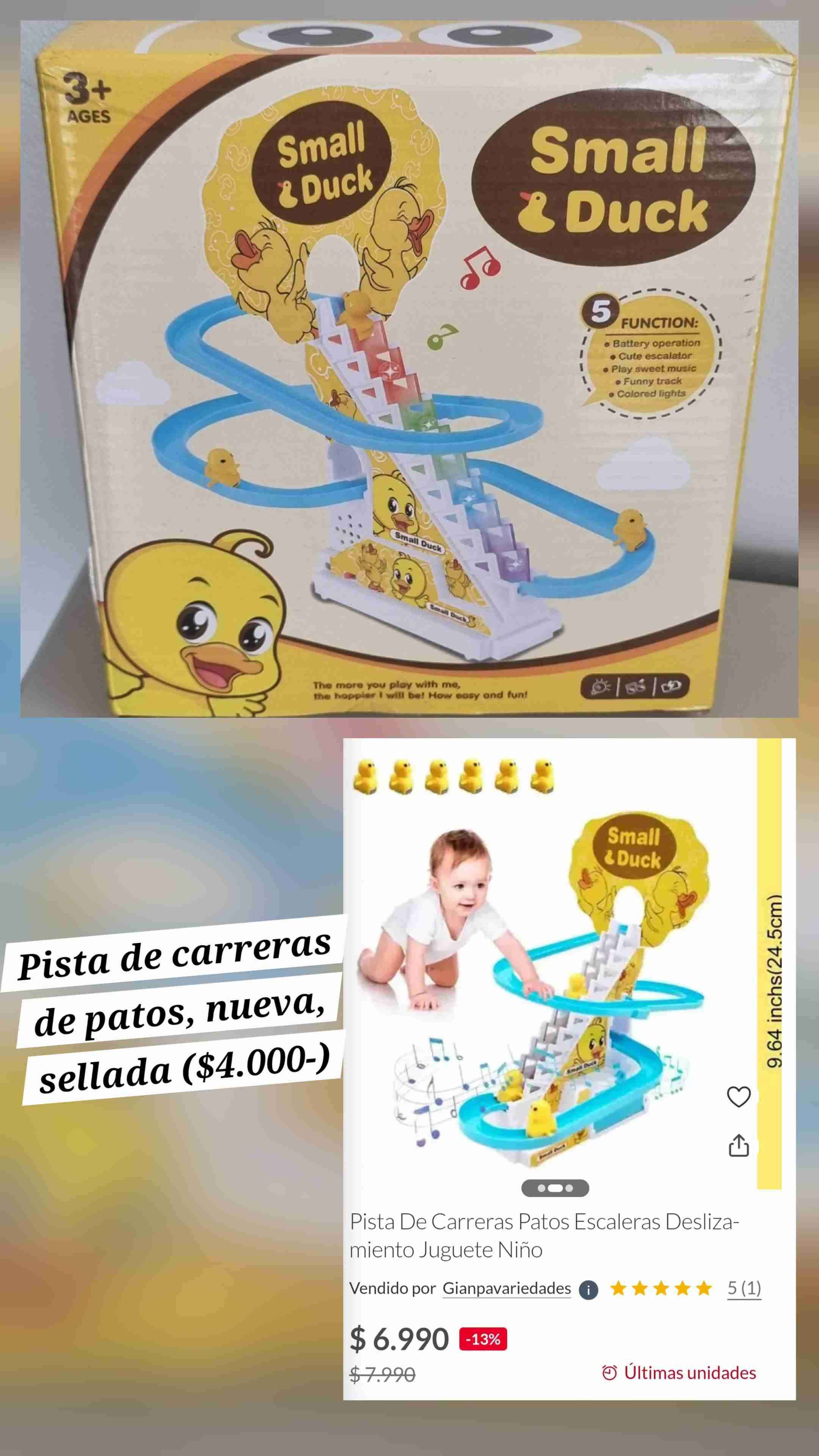 Pista de carreras de patos