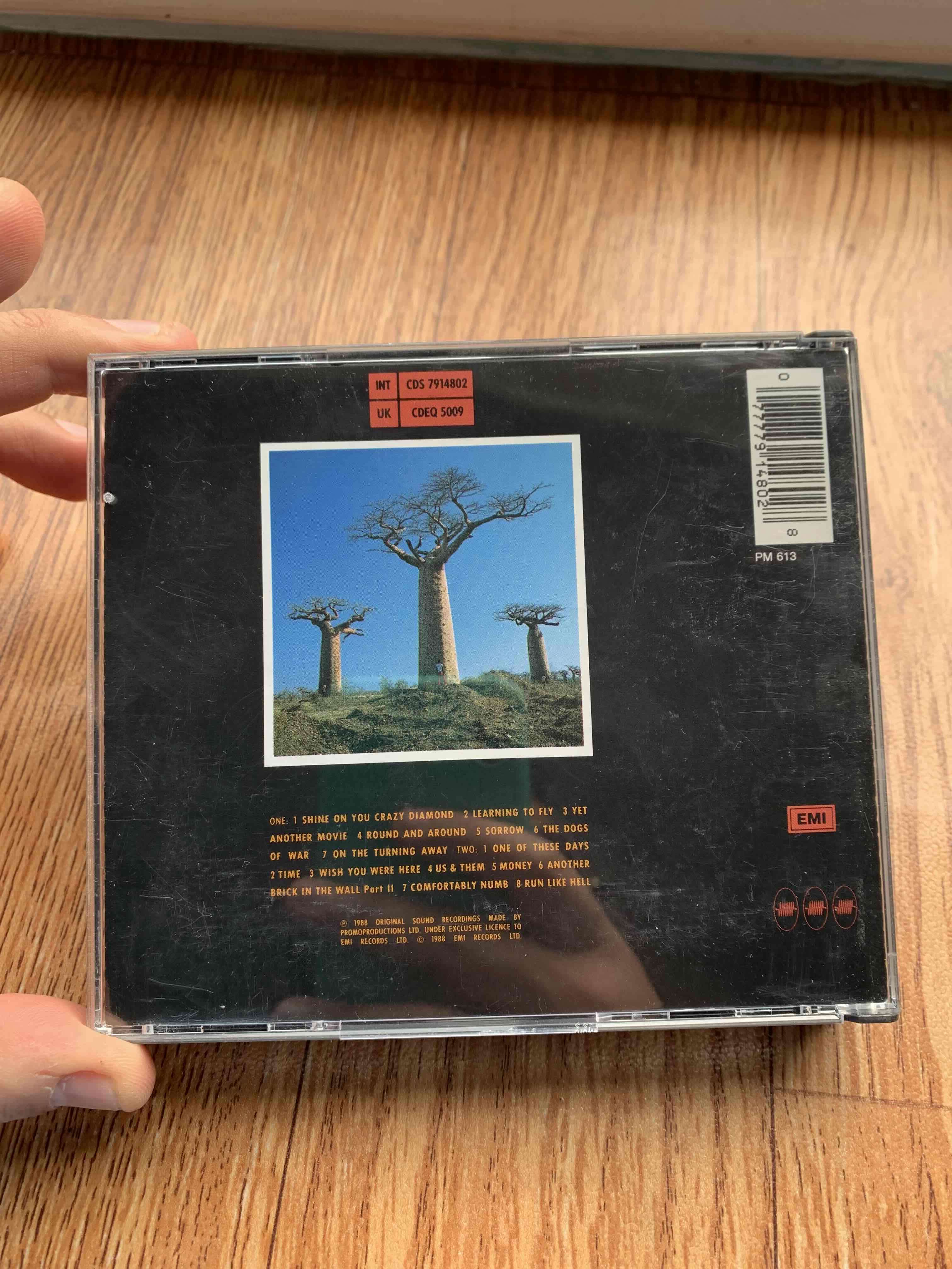 CD Pink Floyd Delicate Sound of Thunder - miniatura 2