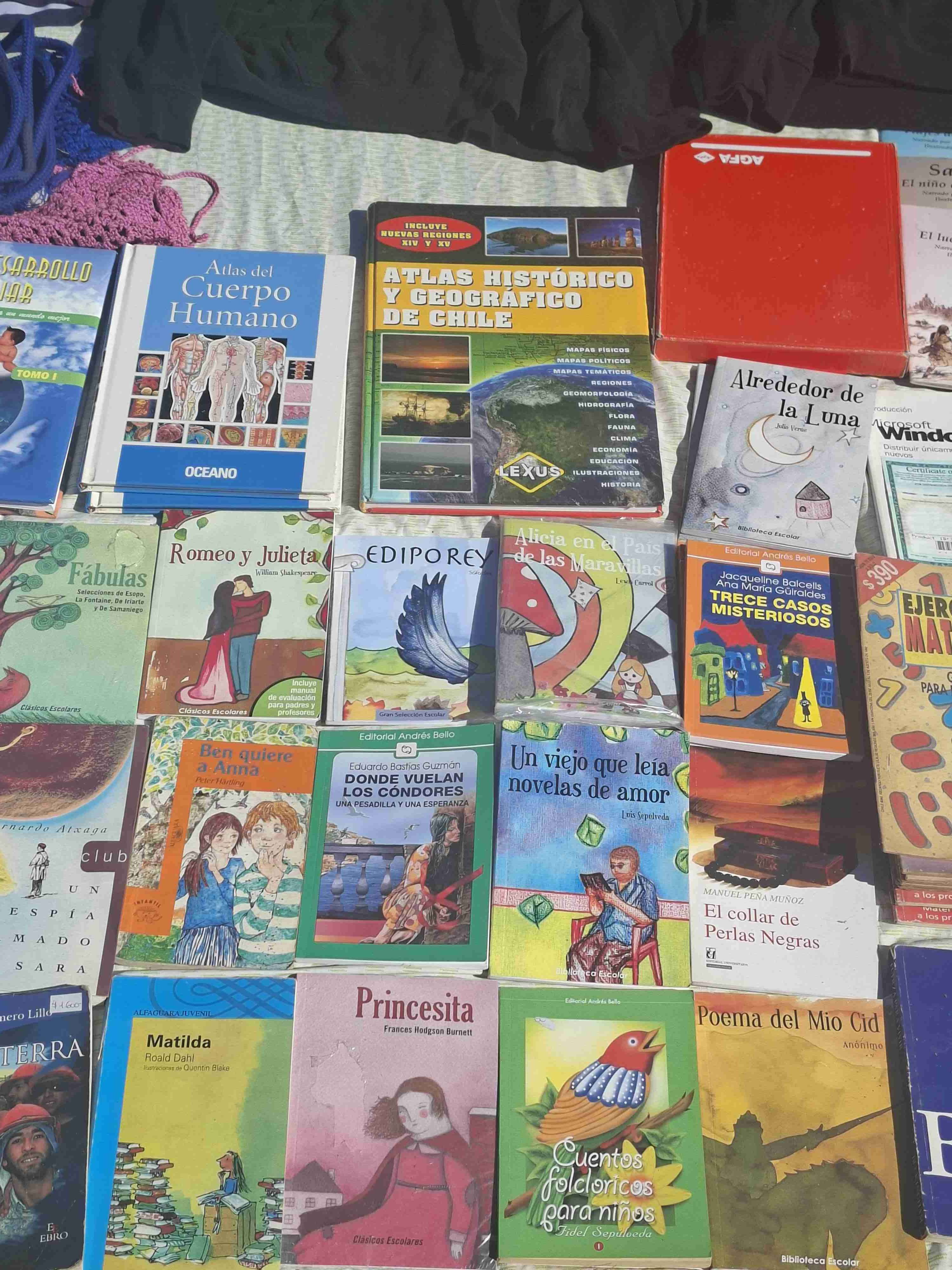 Lote de libros variados - miniatura 2