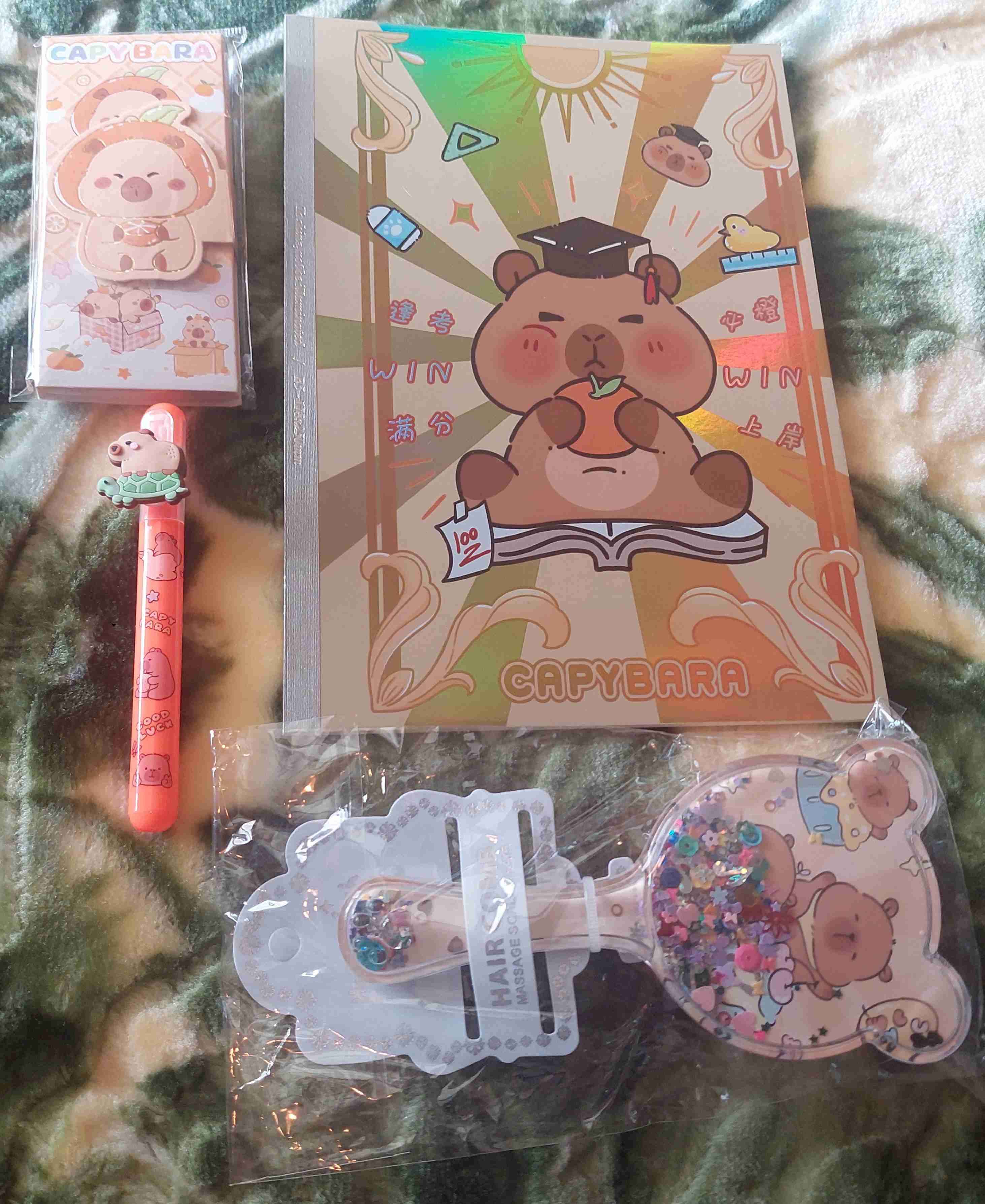 Set de papelería Capybara - miniatura 1